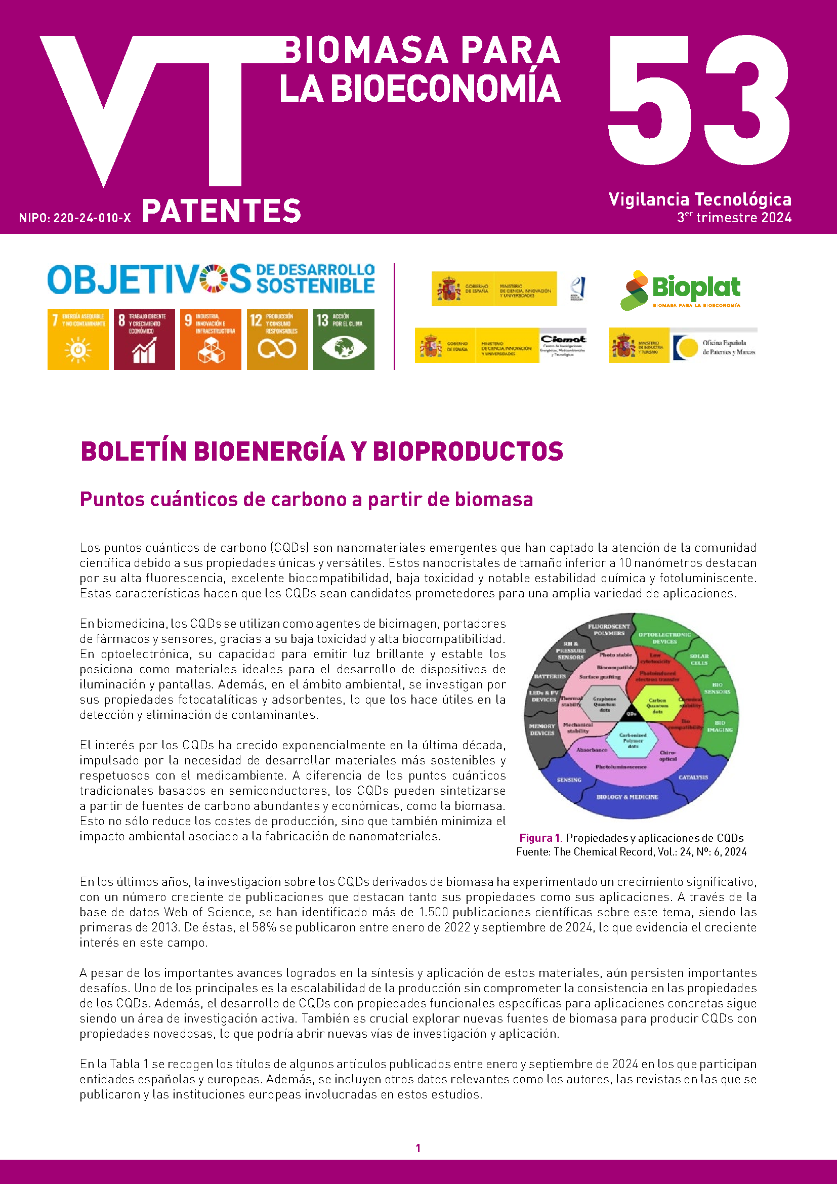 Imagen opti_BVT_EnergiasRenovablesBiomasa_53.pdf