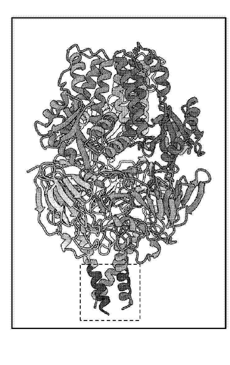 AU_2024342870_PA