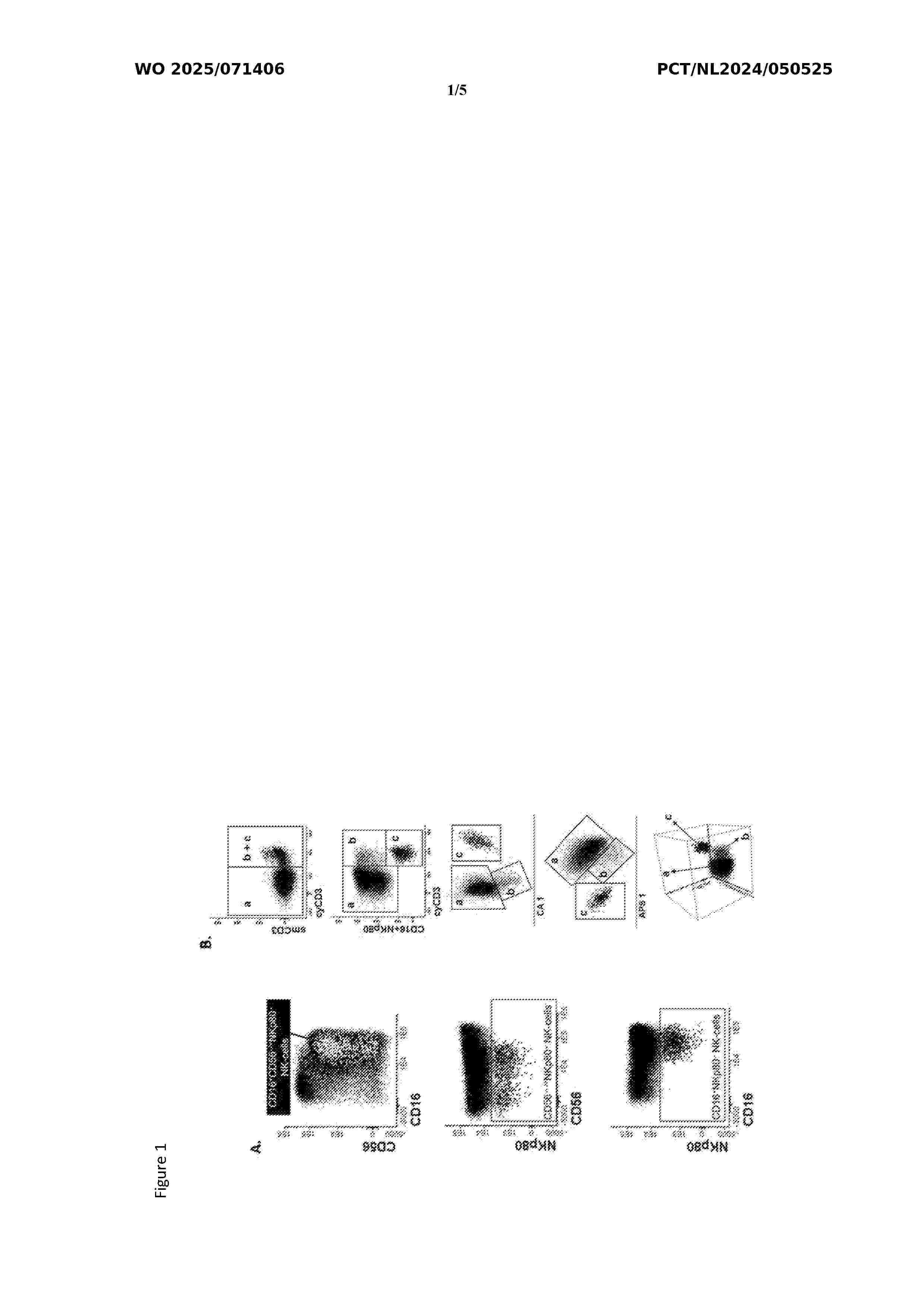 AU_2024352563_A1
