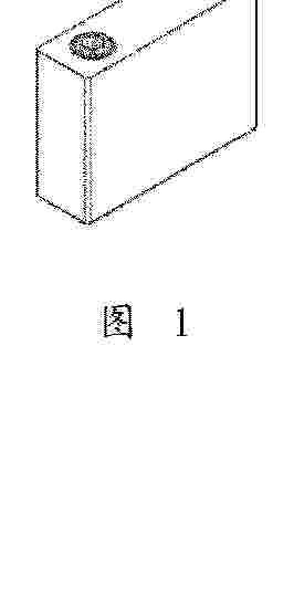 AU_2024377873_PA