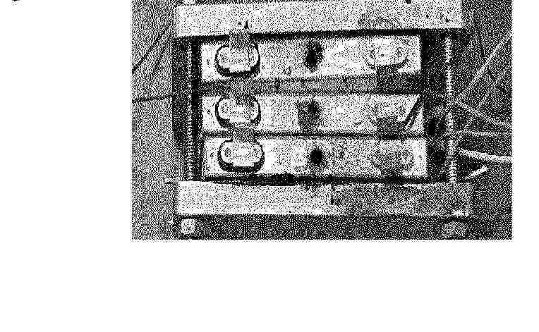 AU_2024419101_PA