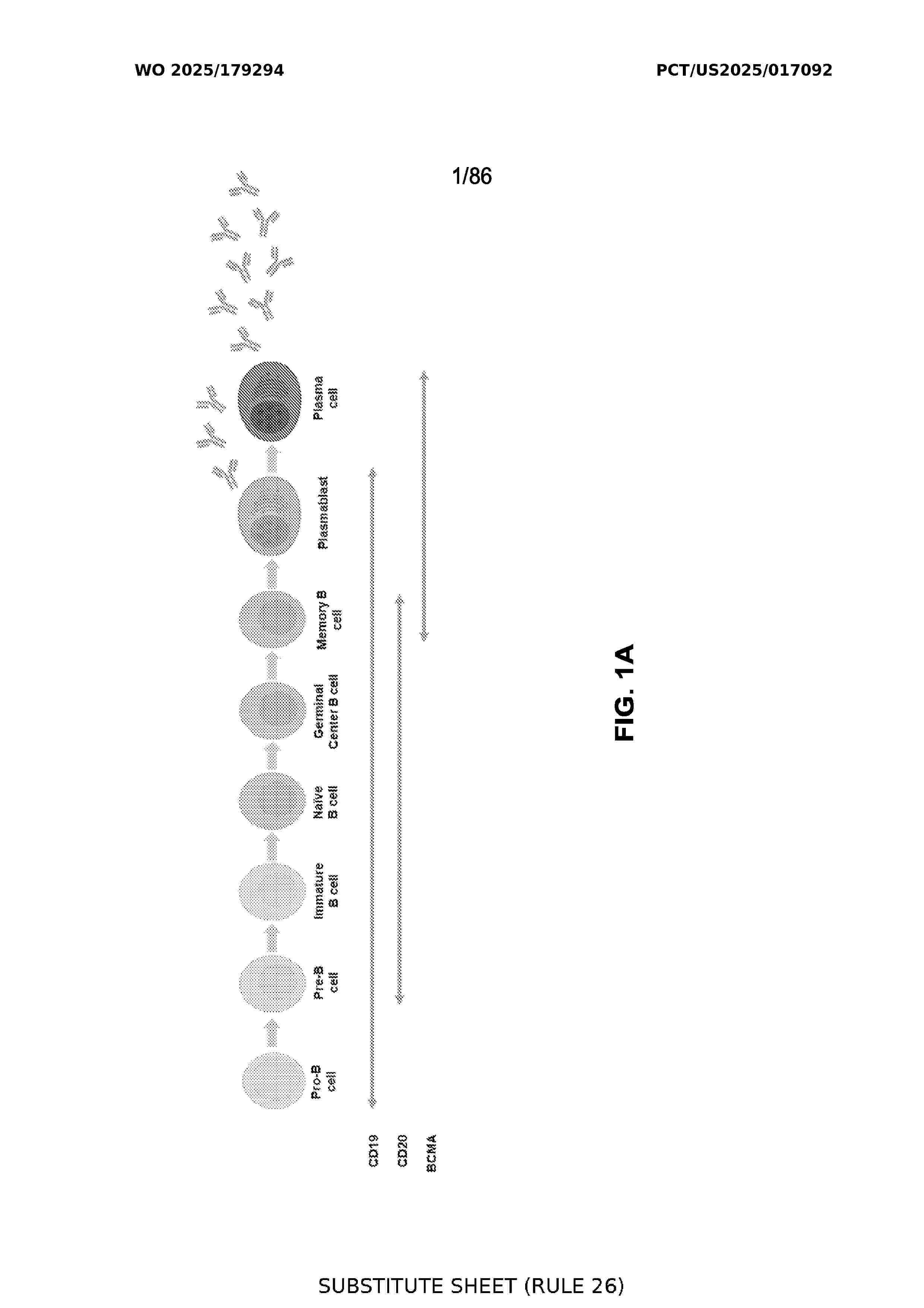 AU_2025225163_A1