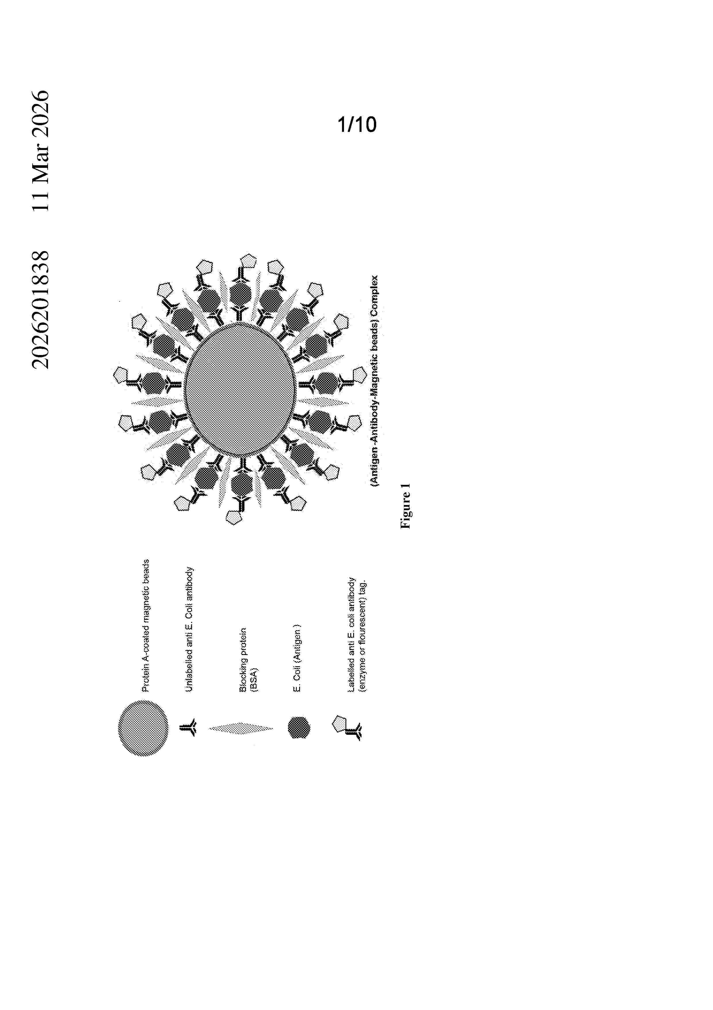 AU_2026201838_A1