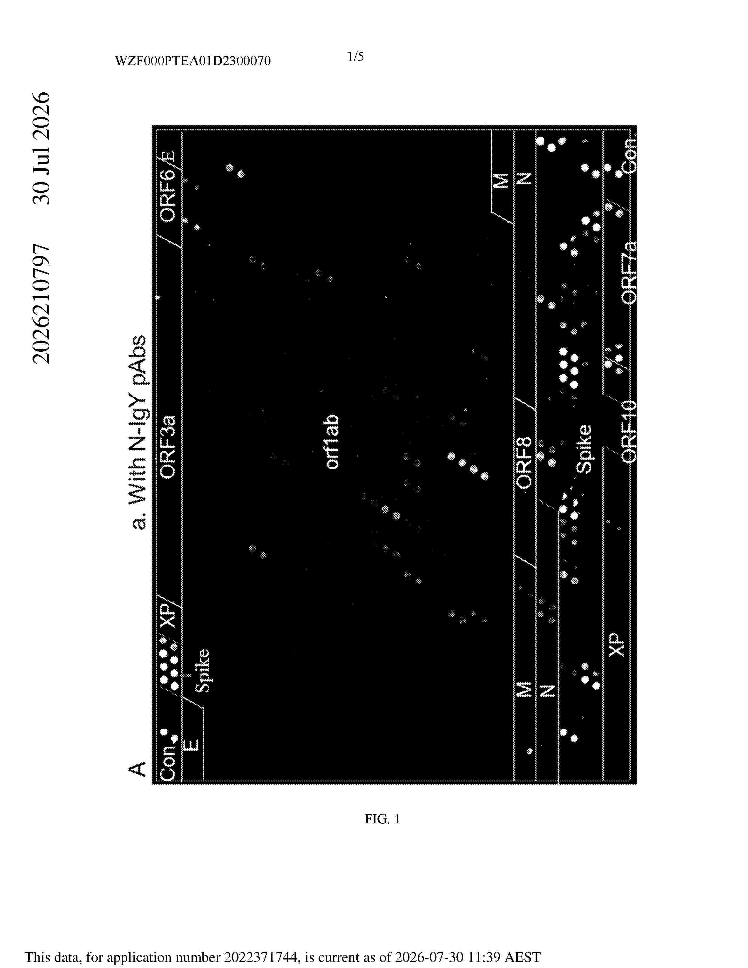 AU_2026210797_A1
