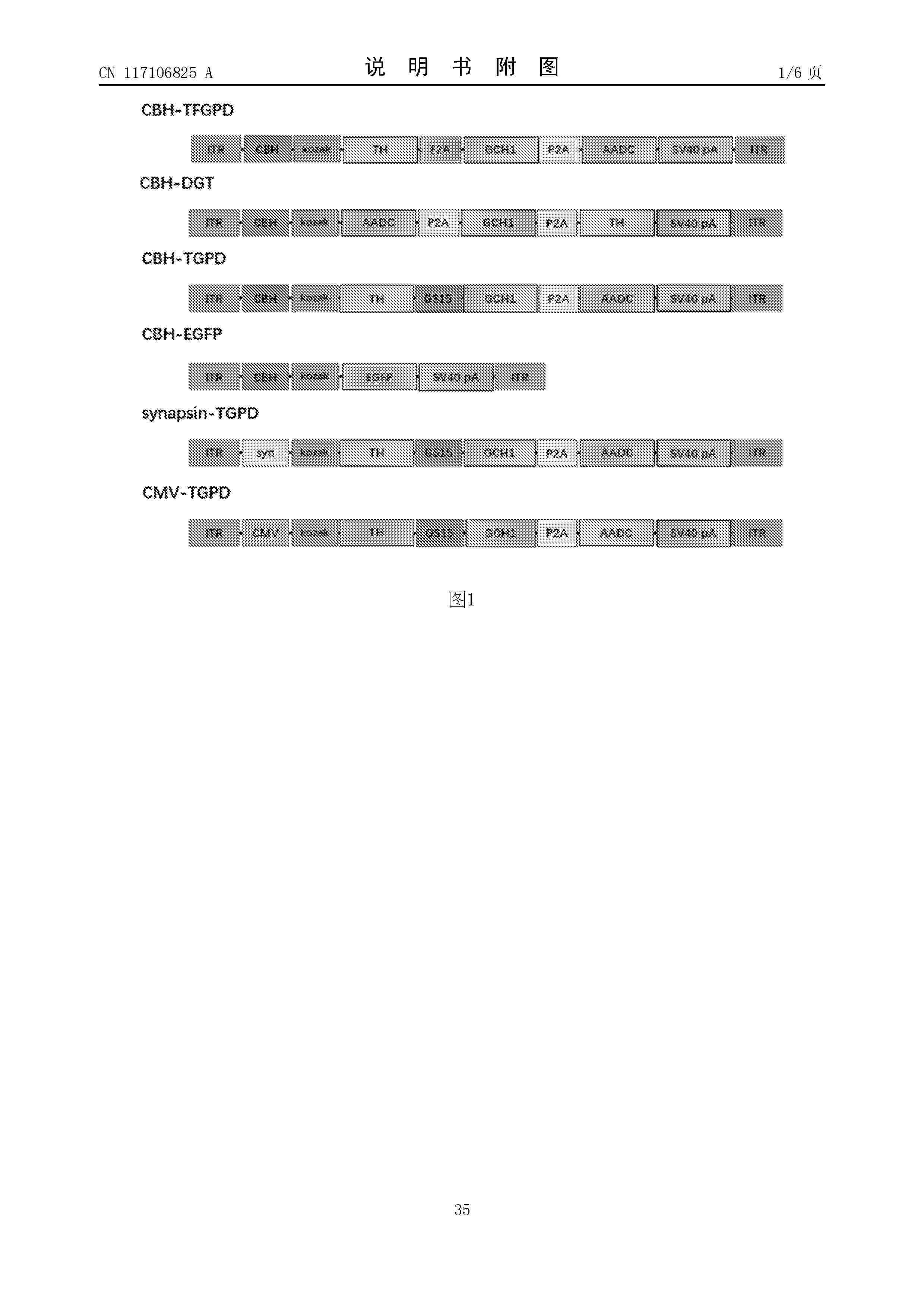 CN_117106825_A
