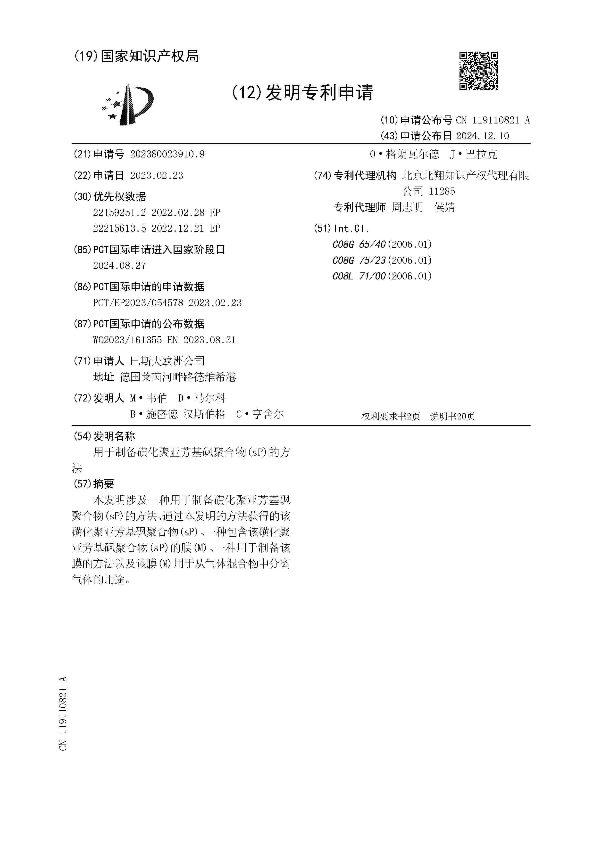 CN_119110821_A