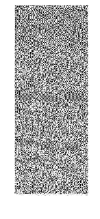 CN_119529077_PA