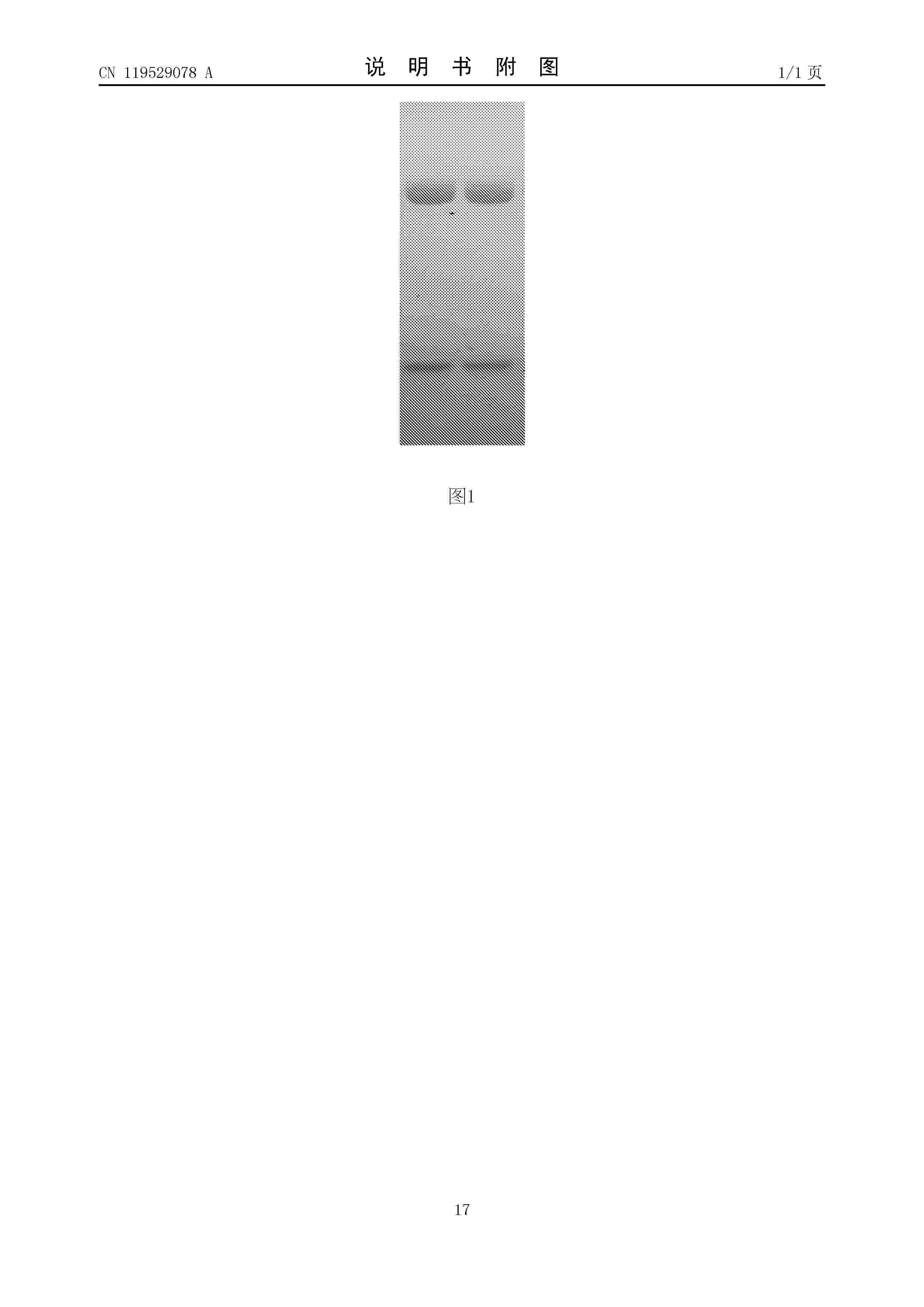 CN_119529078_A