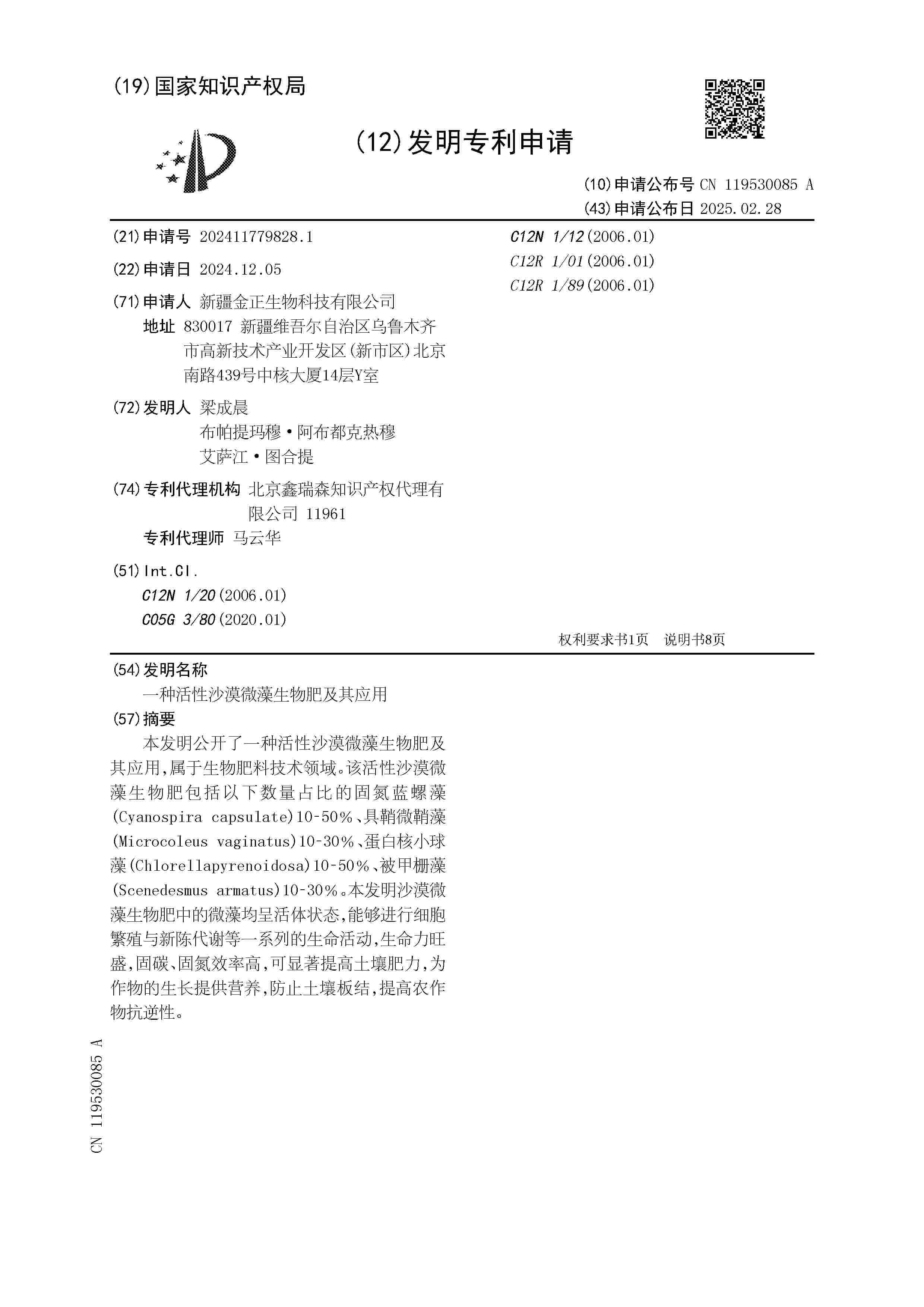 CN_119530085_A