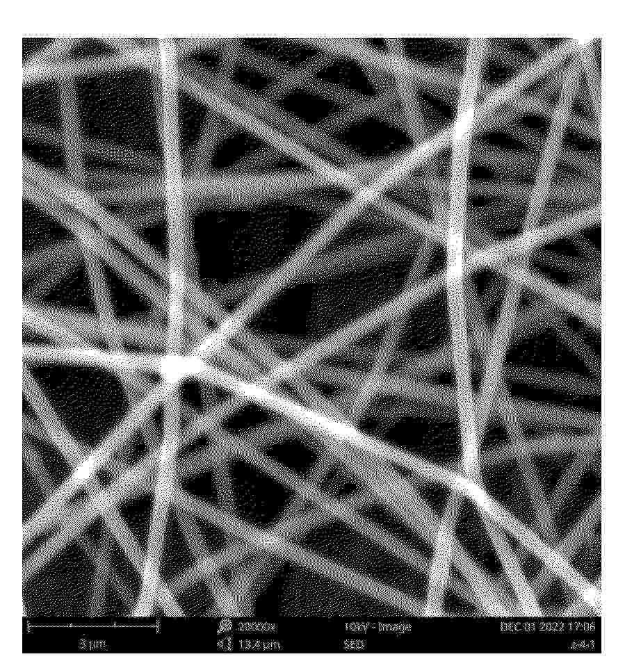 CN_119663546_PA