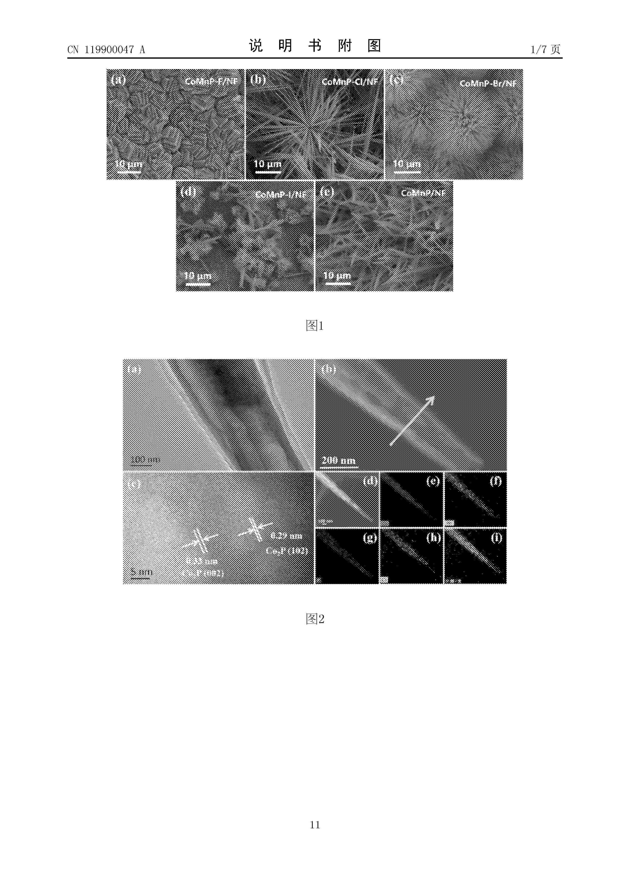 CN_119900047_A