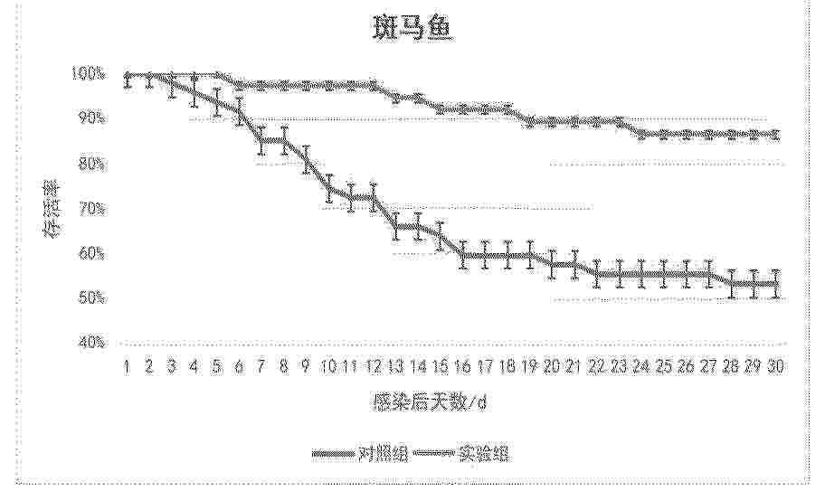 CN_119925585_PA
