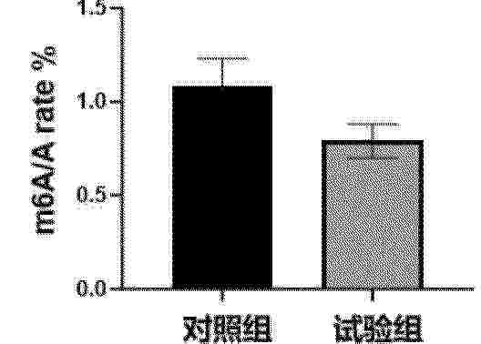 CN_119949439_PA