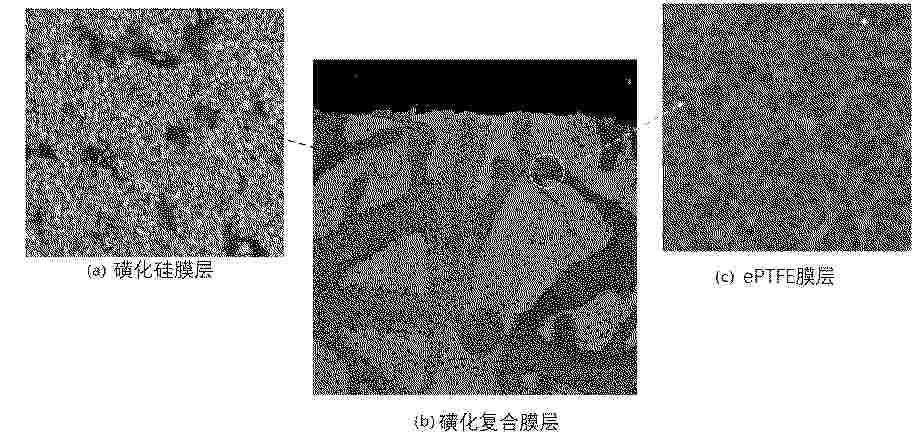 CN_119978490_PA