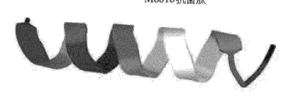 CN_120004981_PA