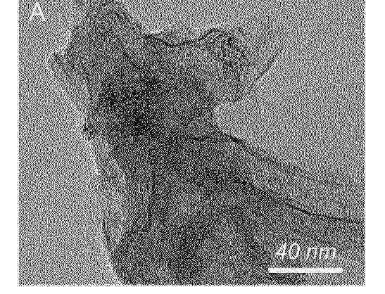 CN_120099562_PA
