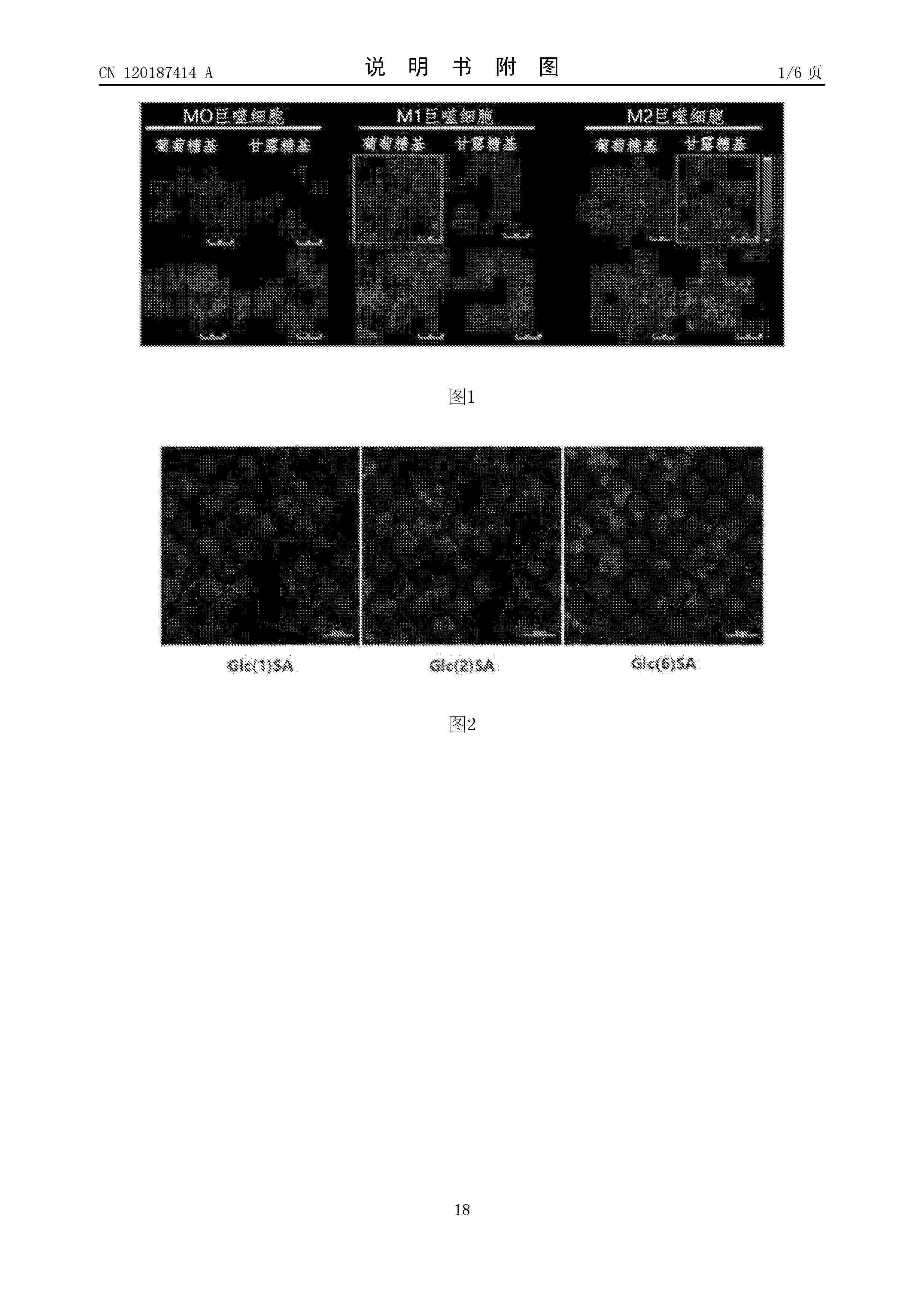 CN_120187414_A