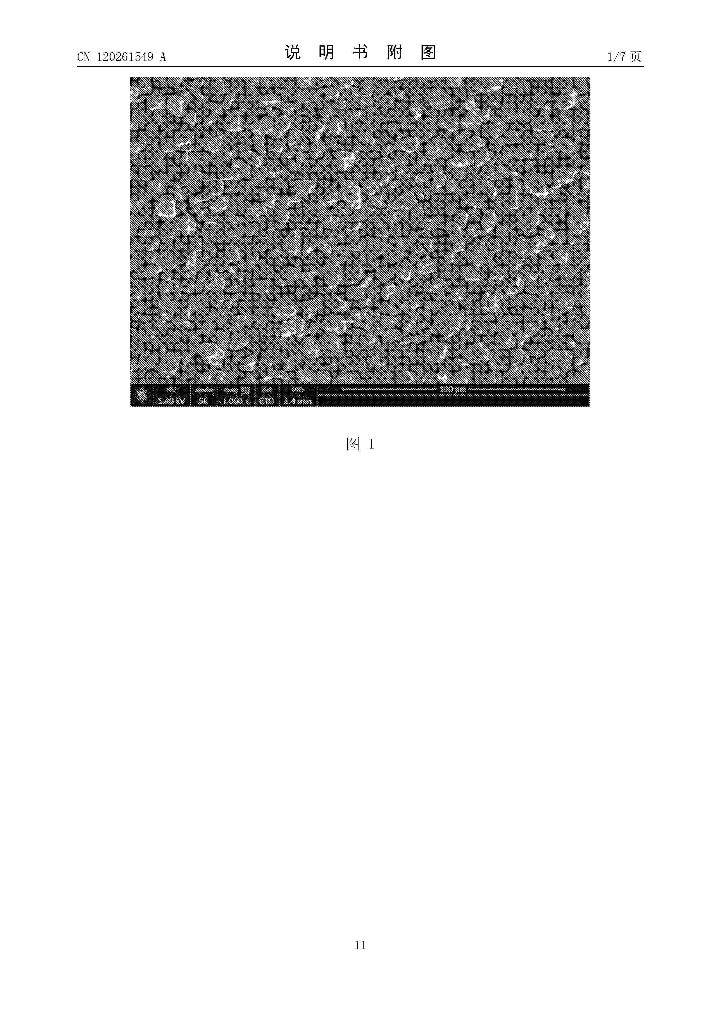 CN_120261549_A