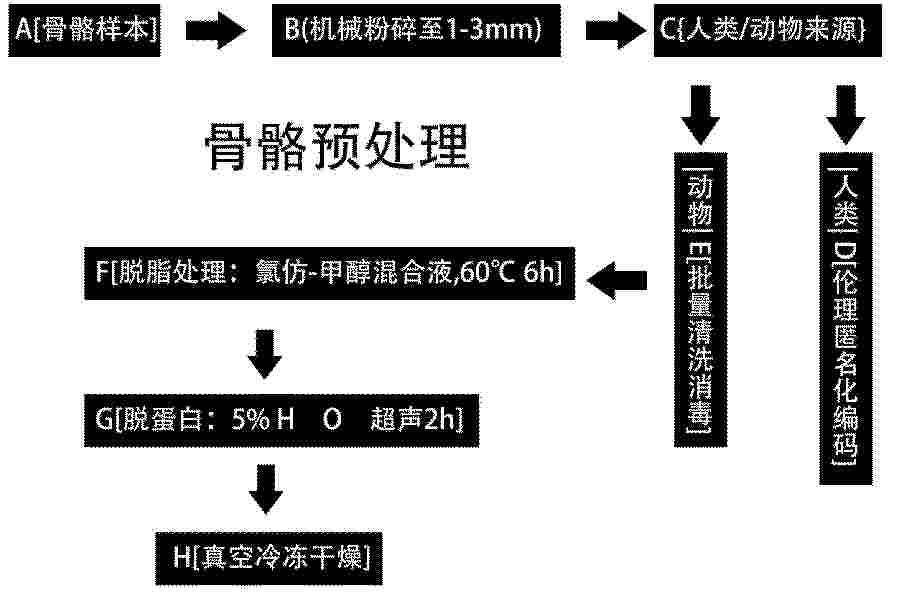 CN_120383773_PA