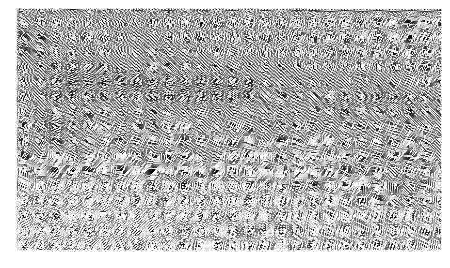 CN_120420492_PA