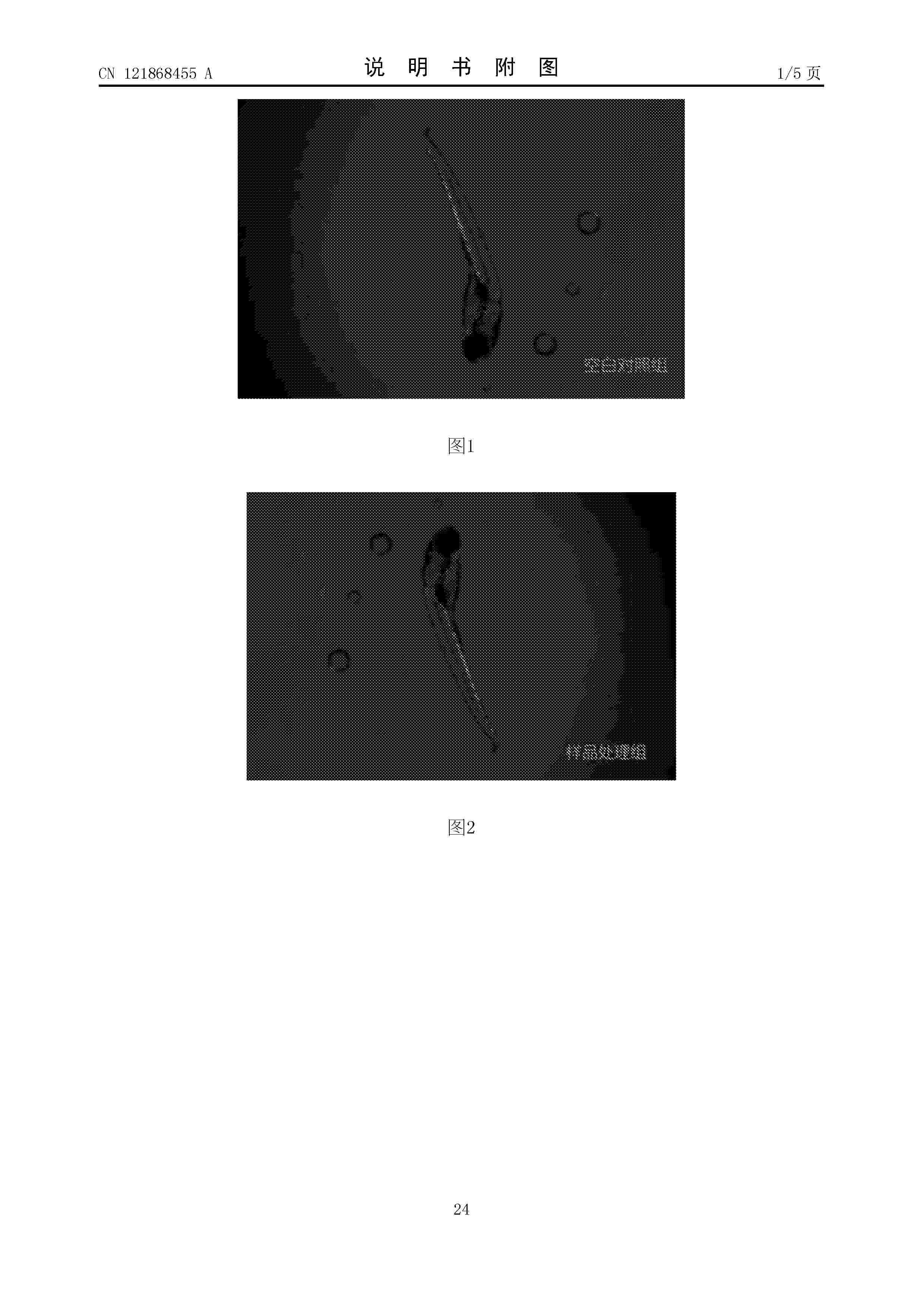 CN_121868455_A