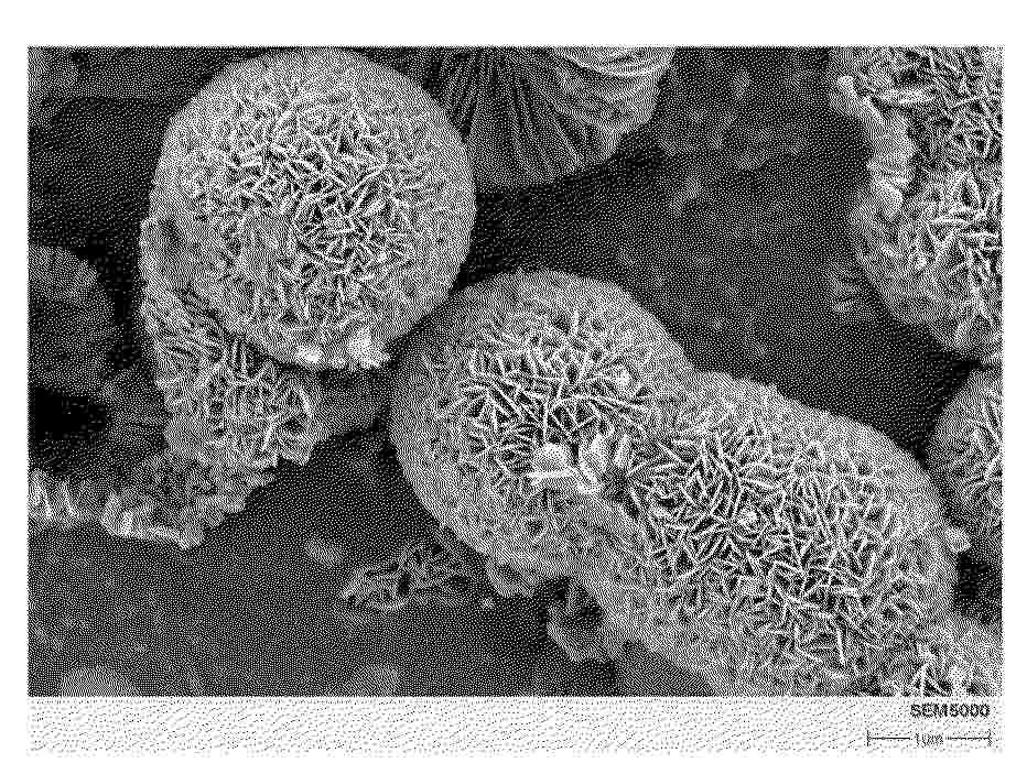 CN_121885600_PA