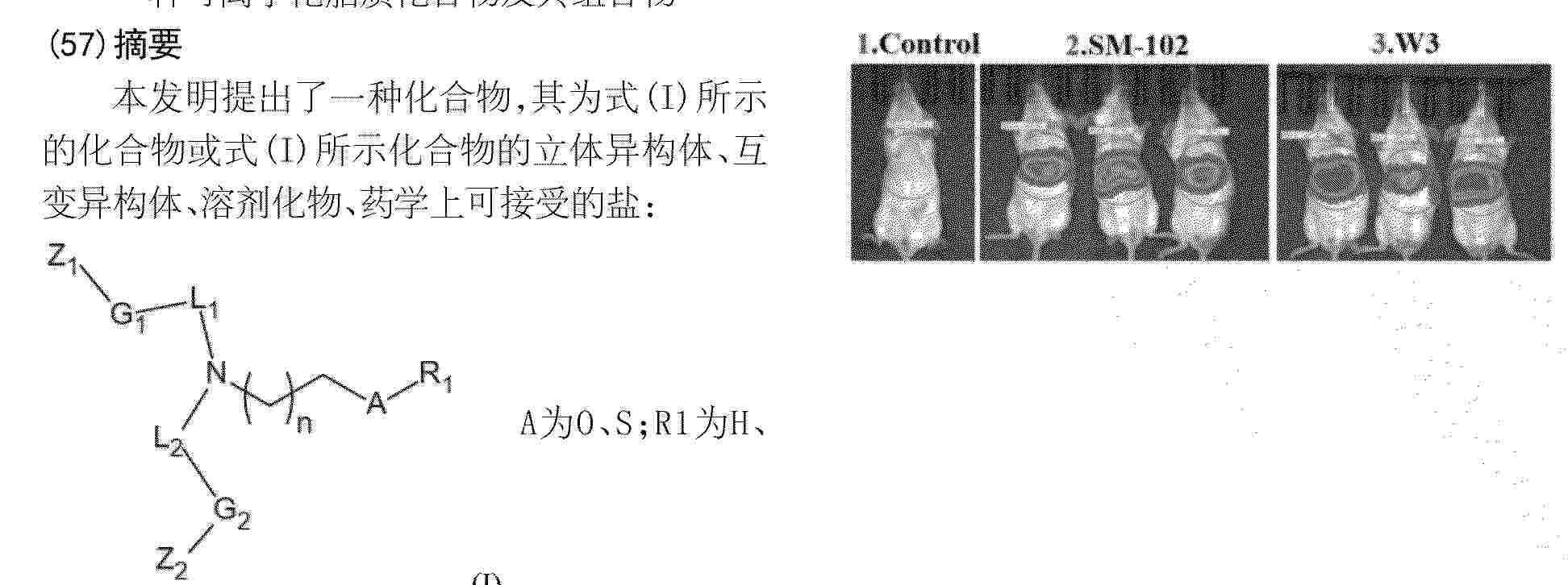 CN_121930199_PA