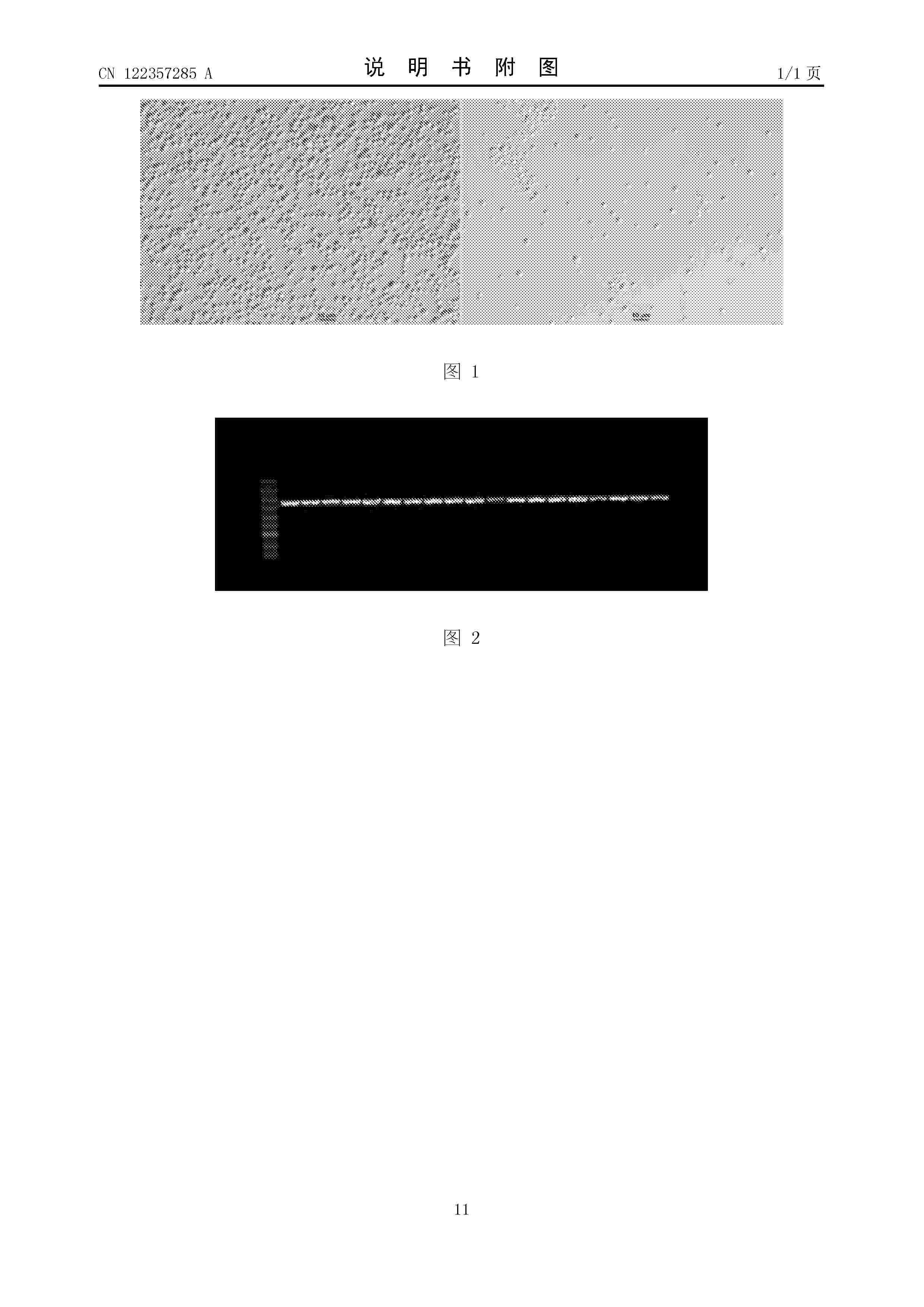 CN_122357285_A