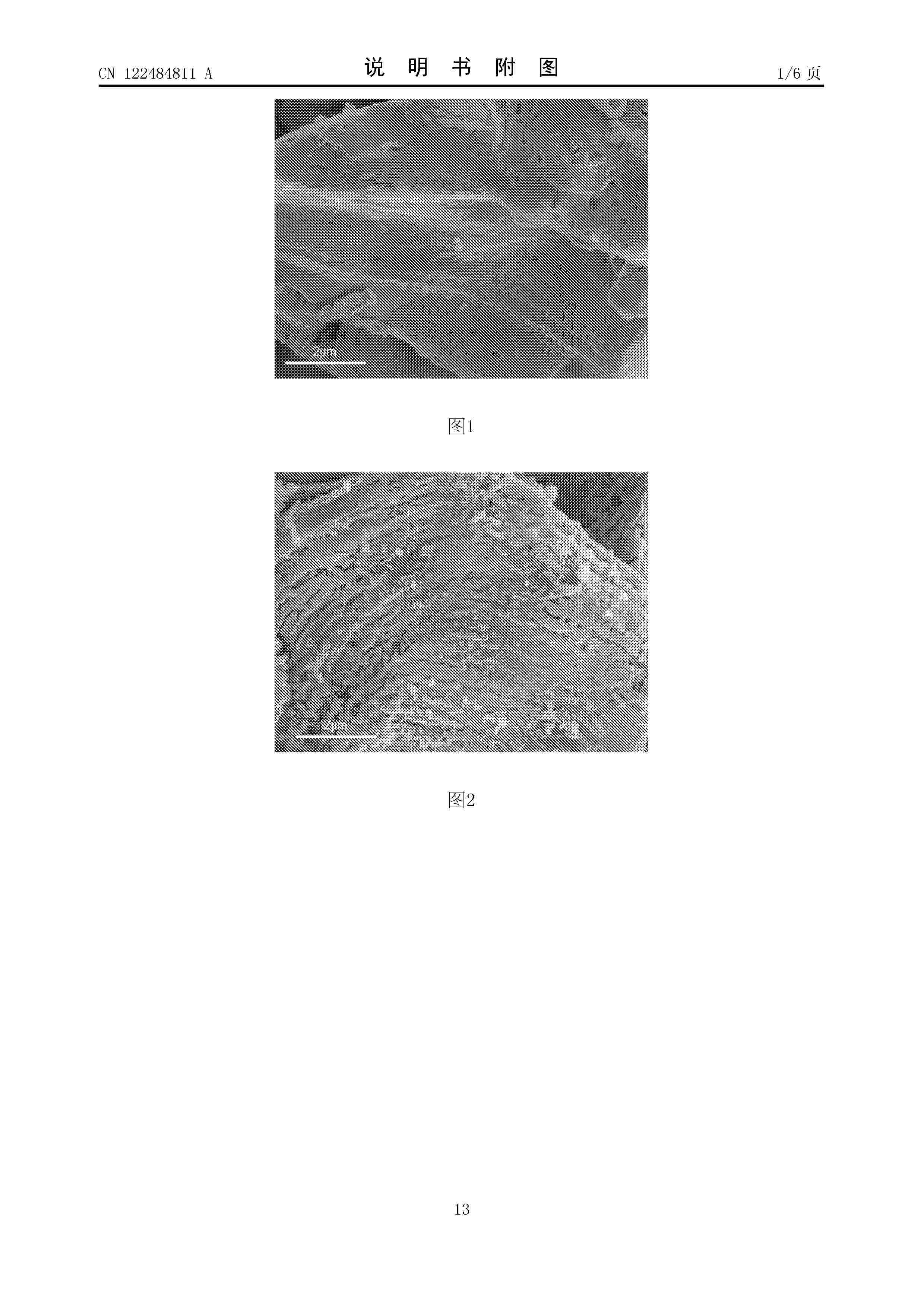 CN_122484811_A