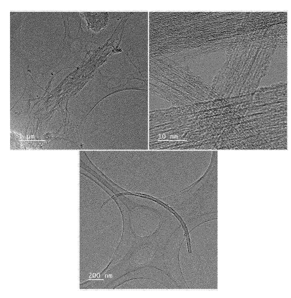 CN_122484832_PA
