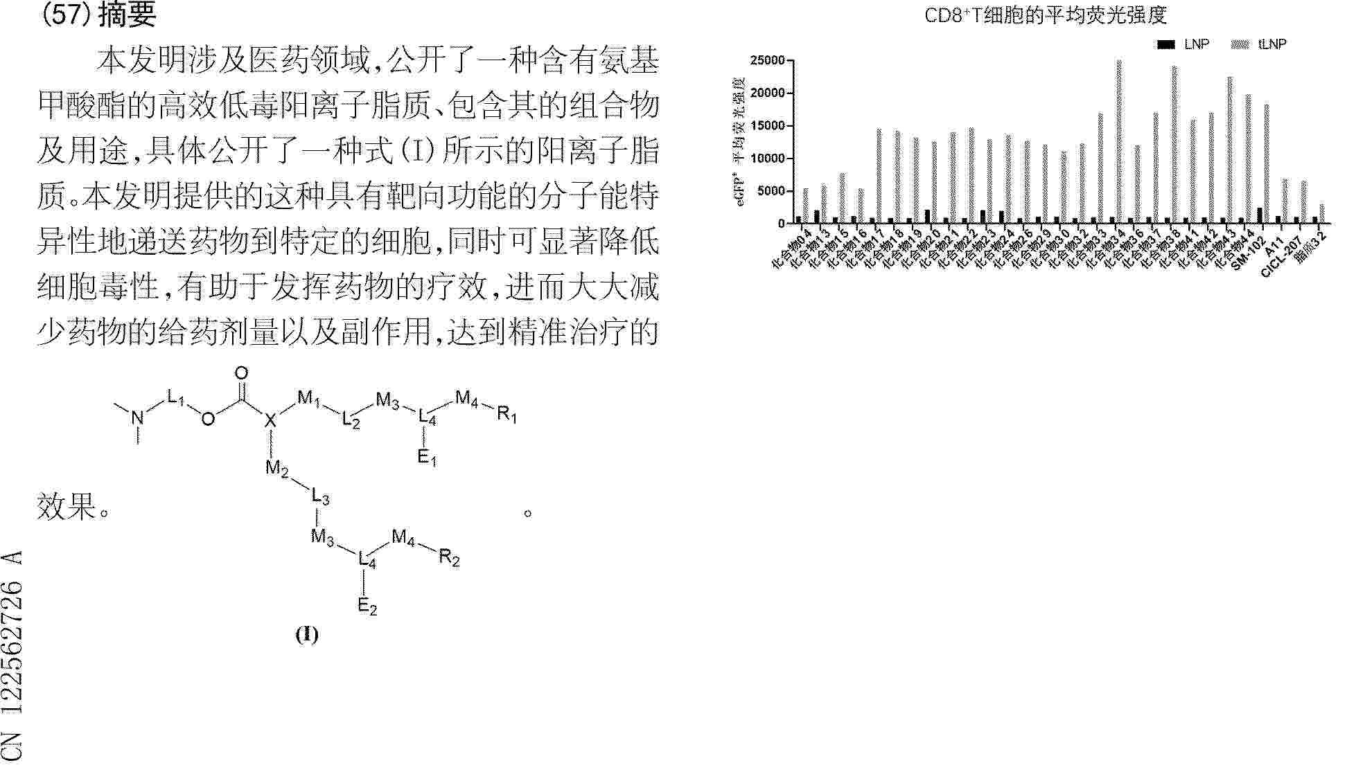 CN_122562726_PA