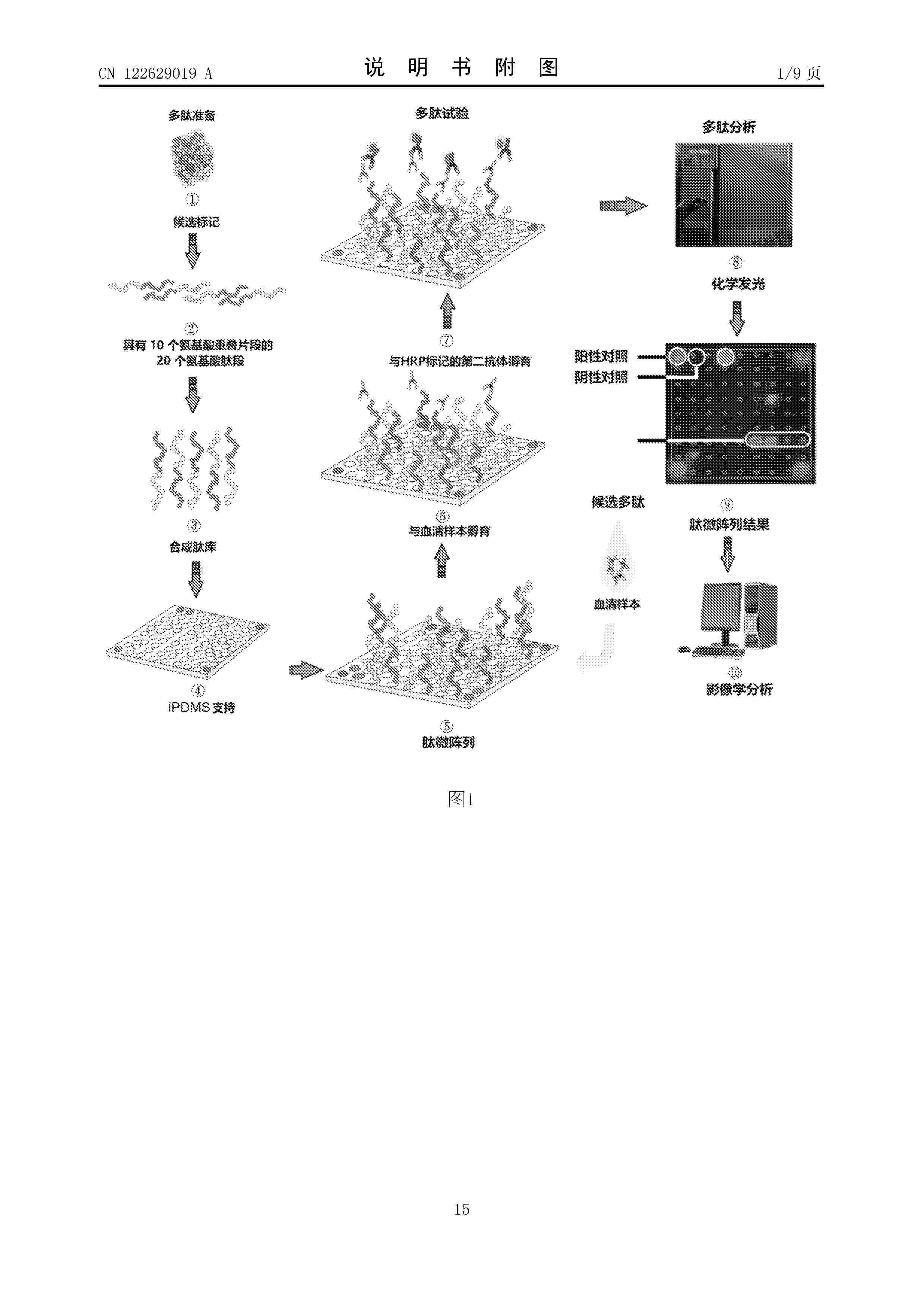 CN_122629019_A