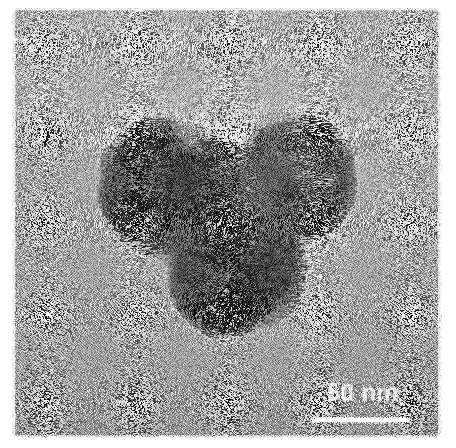 CN_122894332_PA