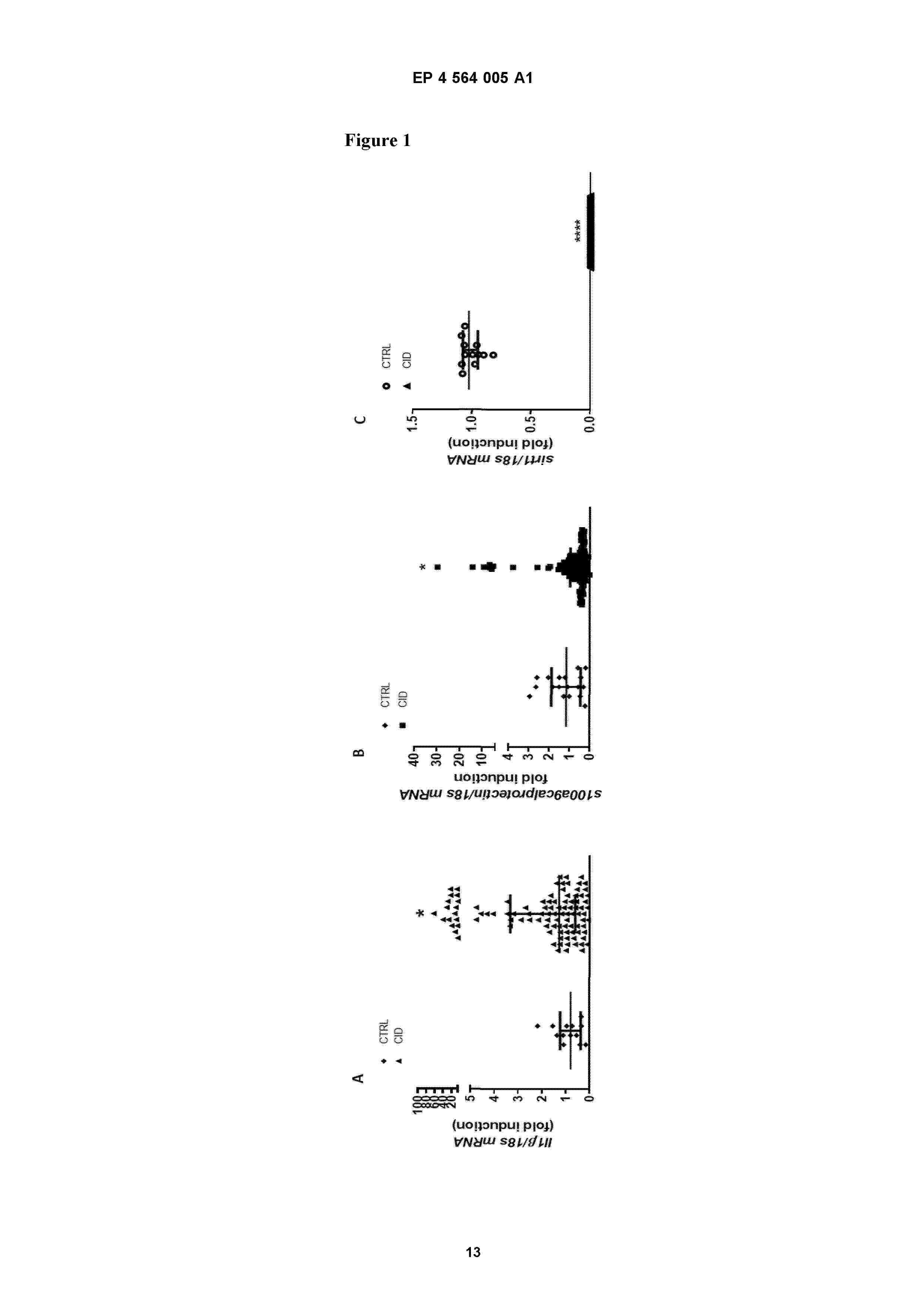 EP_4564005_A1