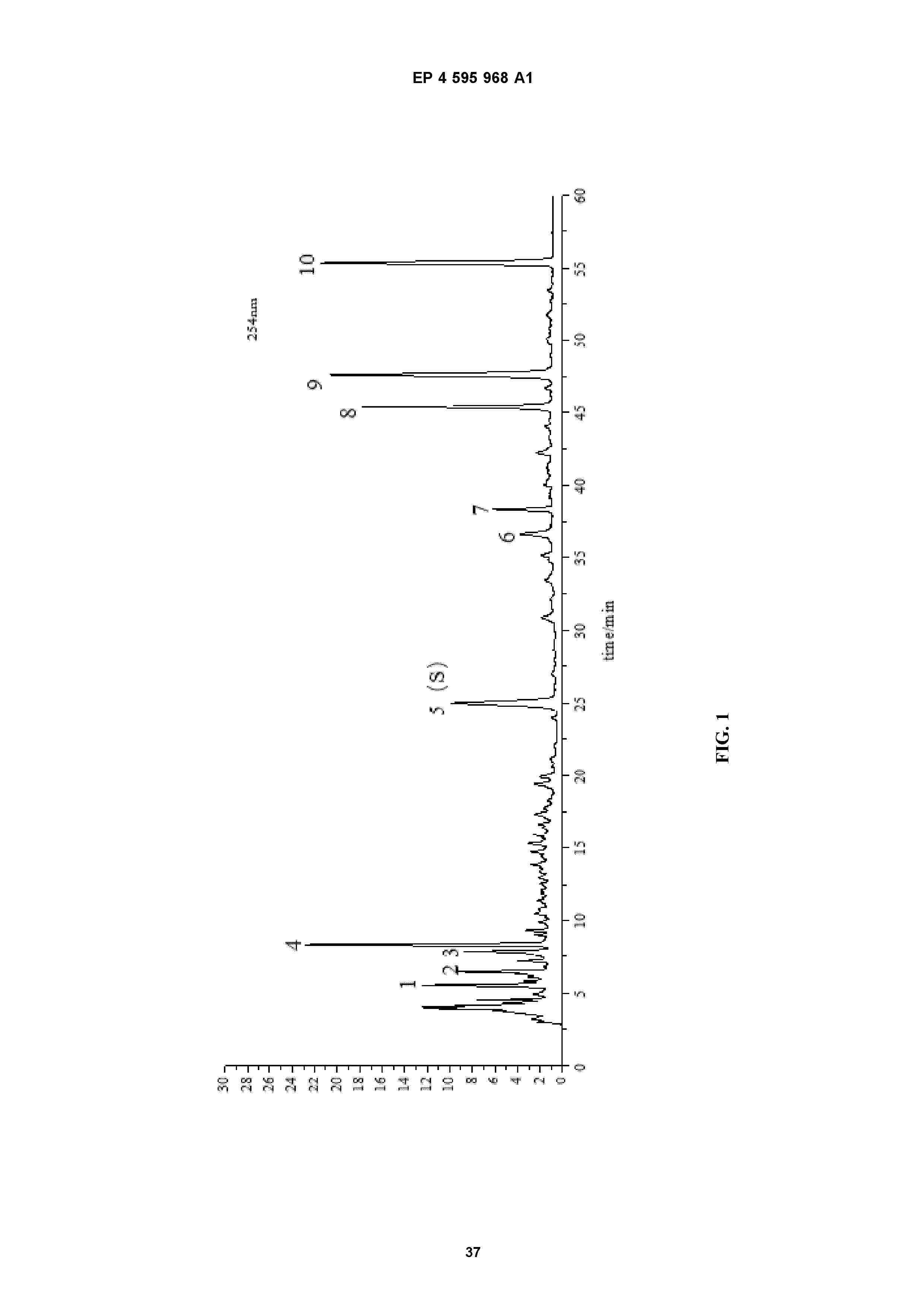 EP_4595968_A1