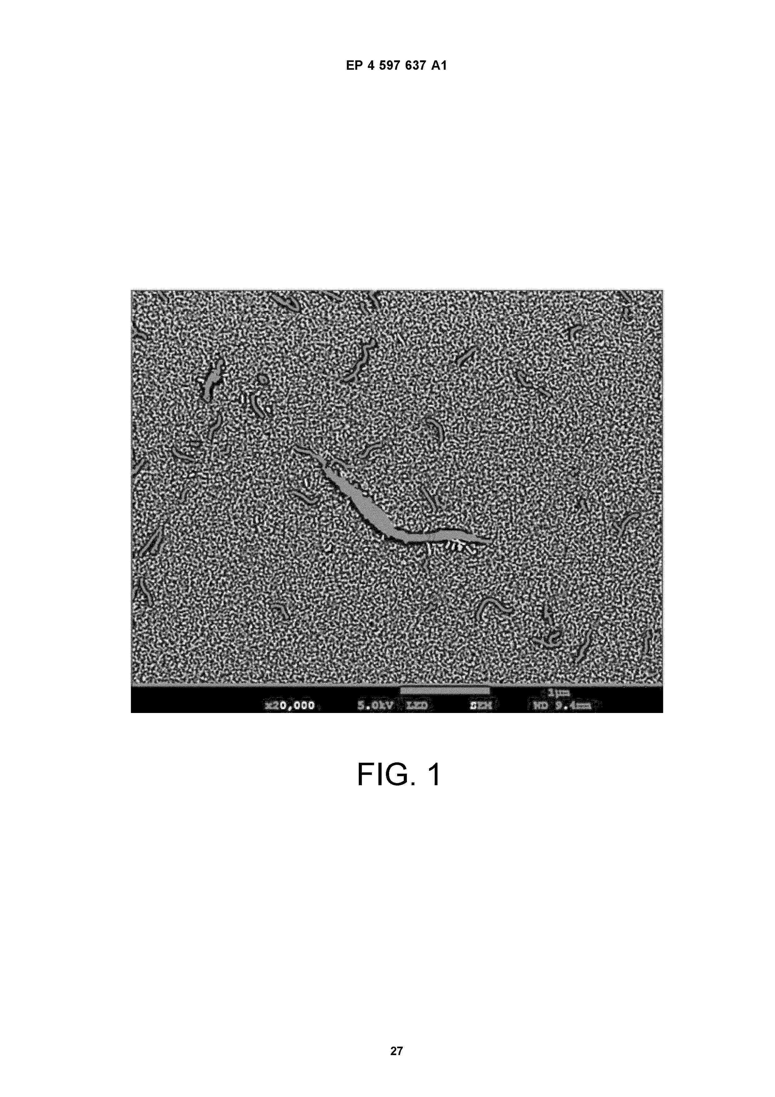 EP_4597637_A1