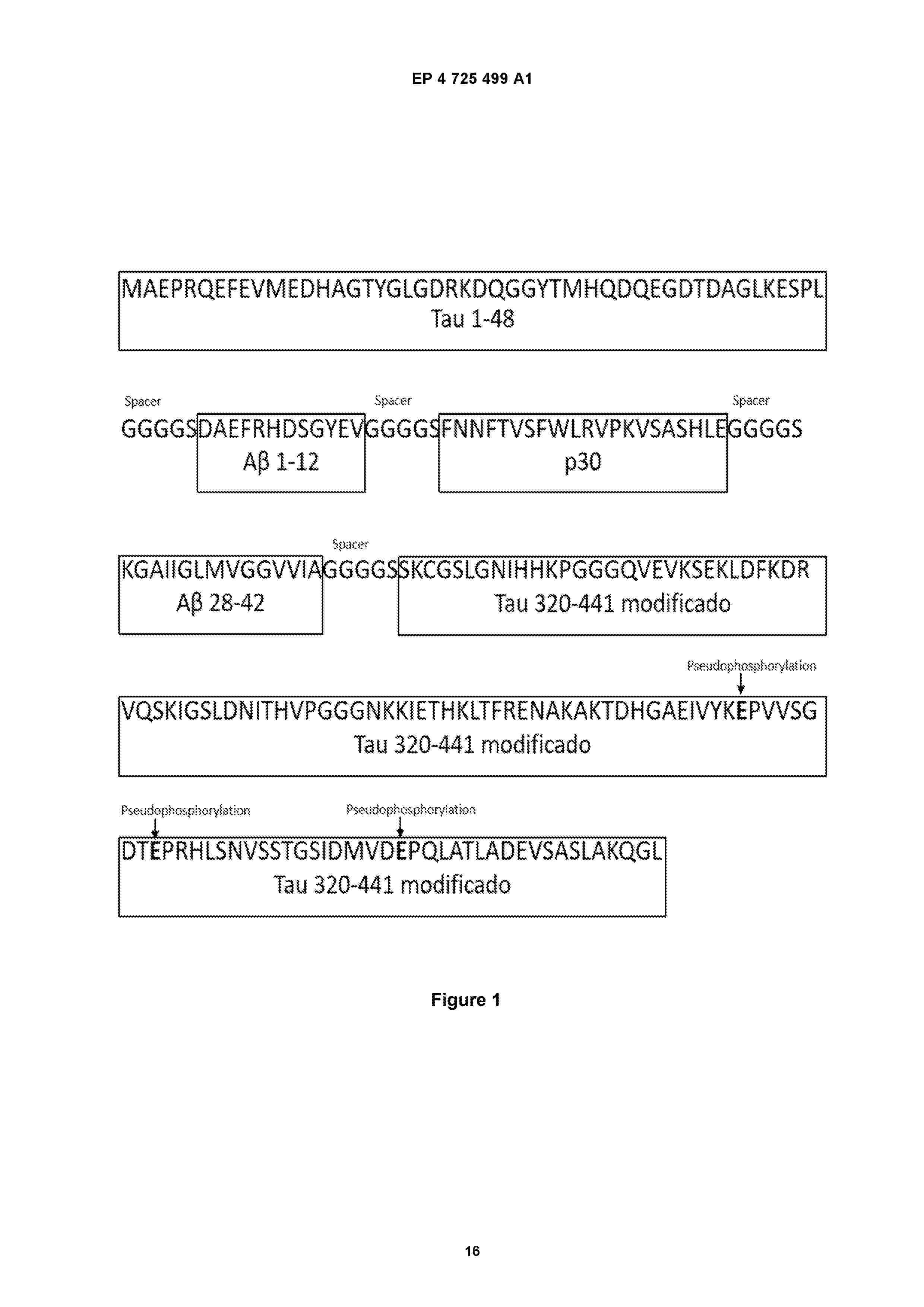 EP_4725499_A1