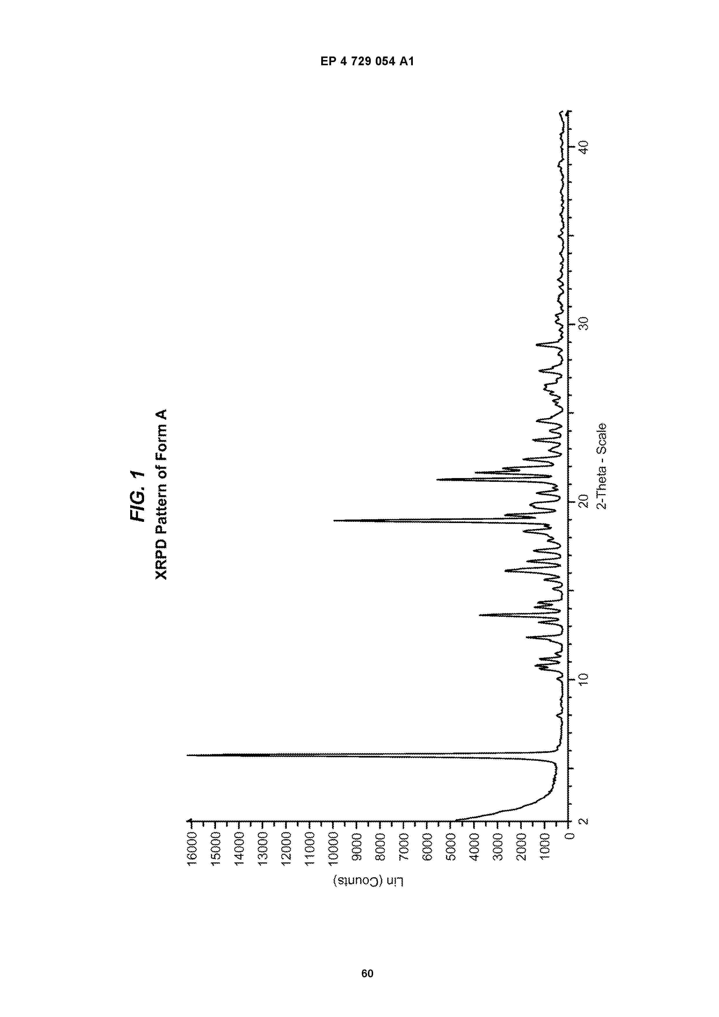 EP_4729054_A1