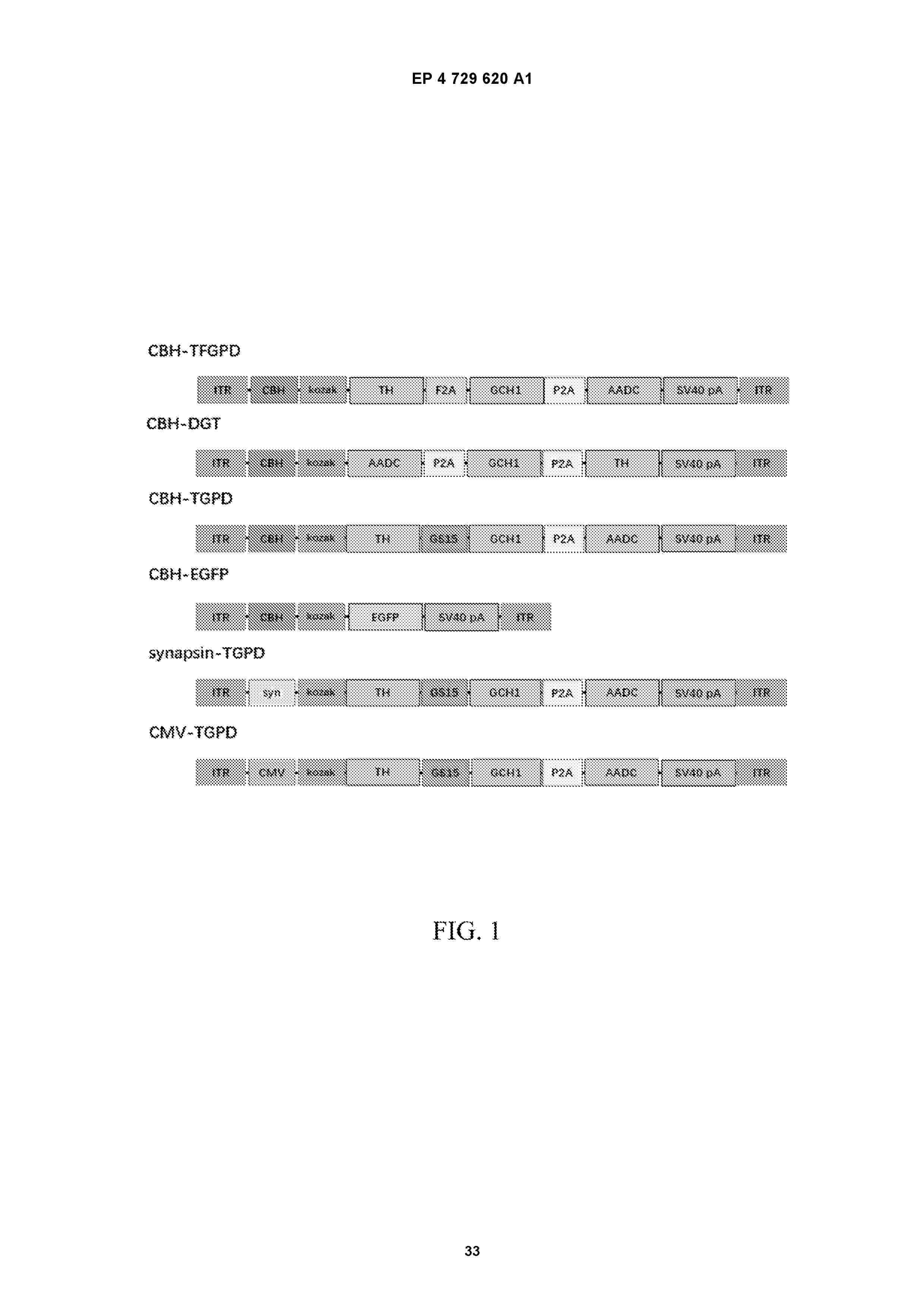EP_4729620_A1