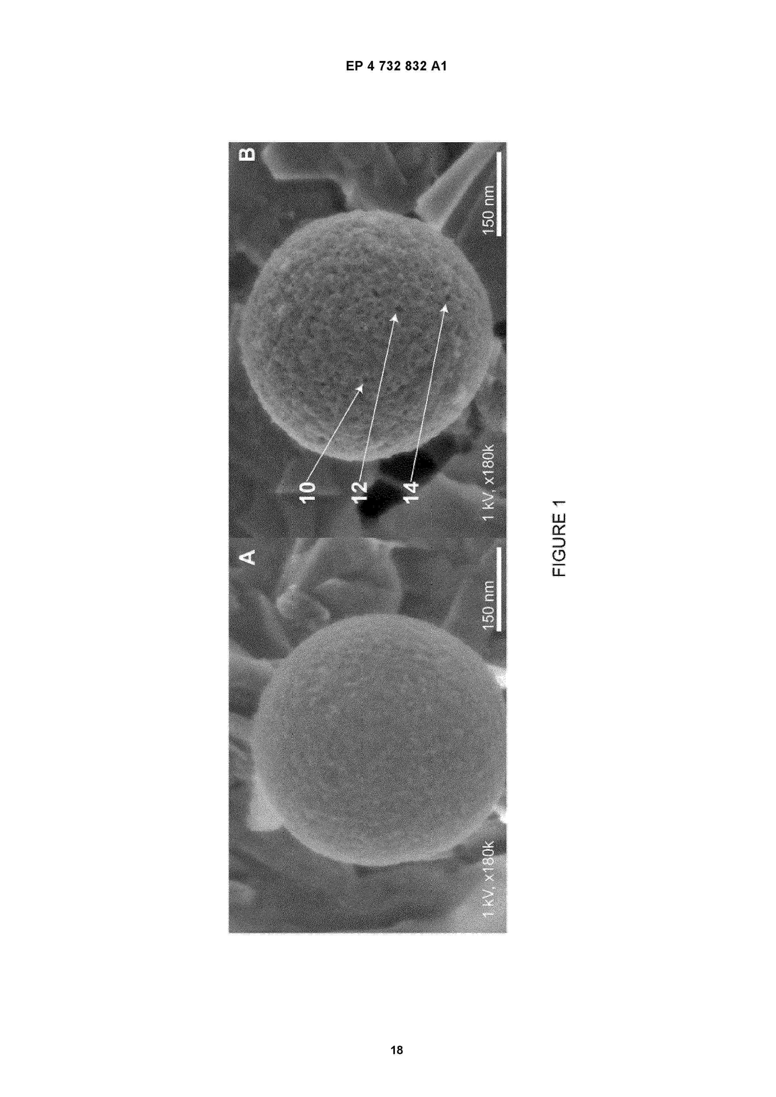 EP_4732832_A1