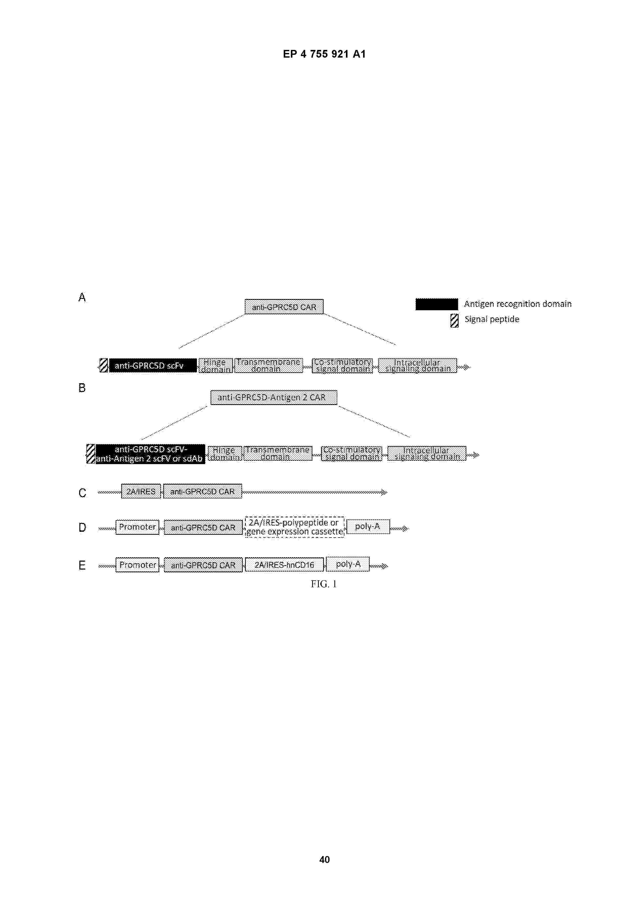 EP_4755921_A1