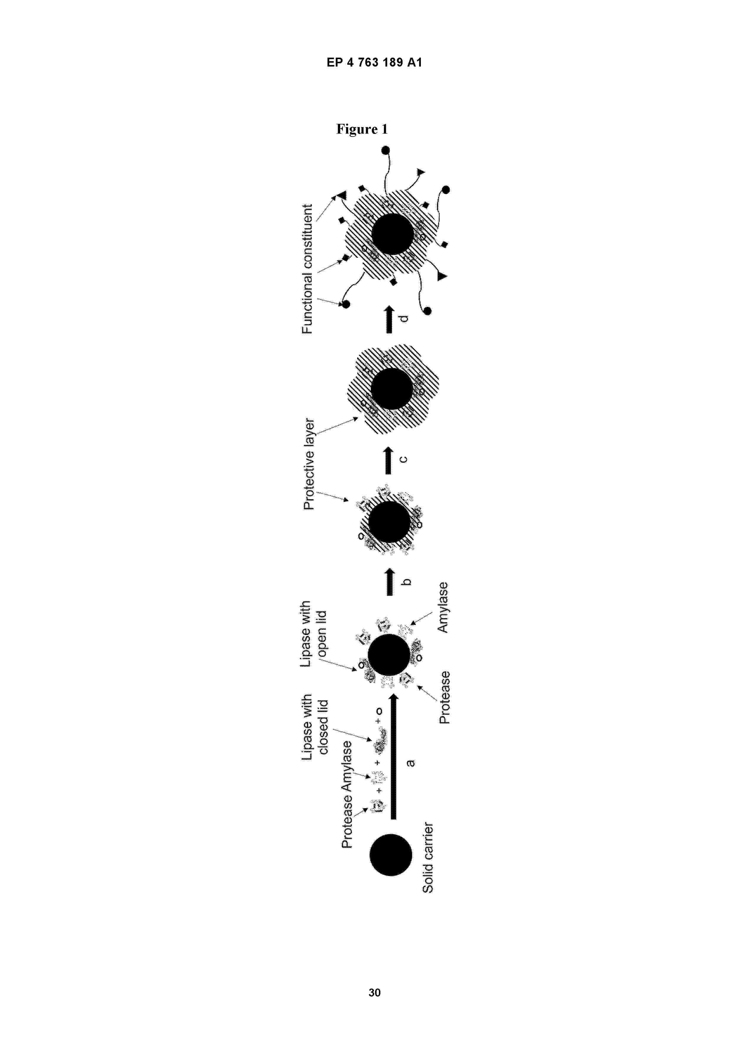 EP_4763189_A1