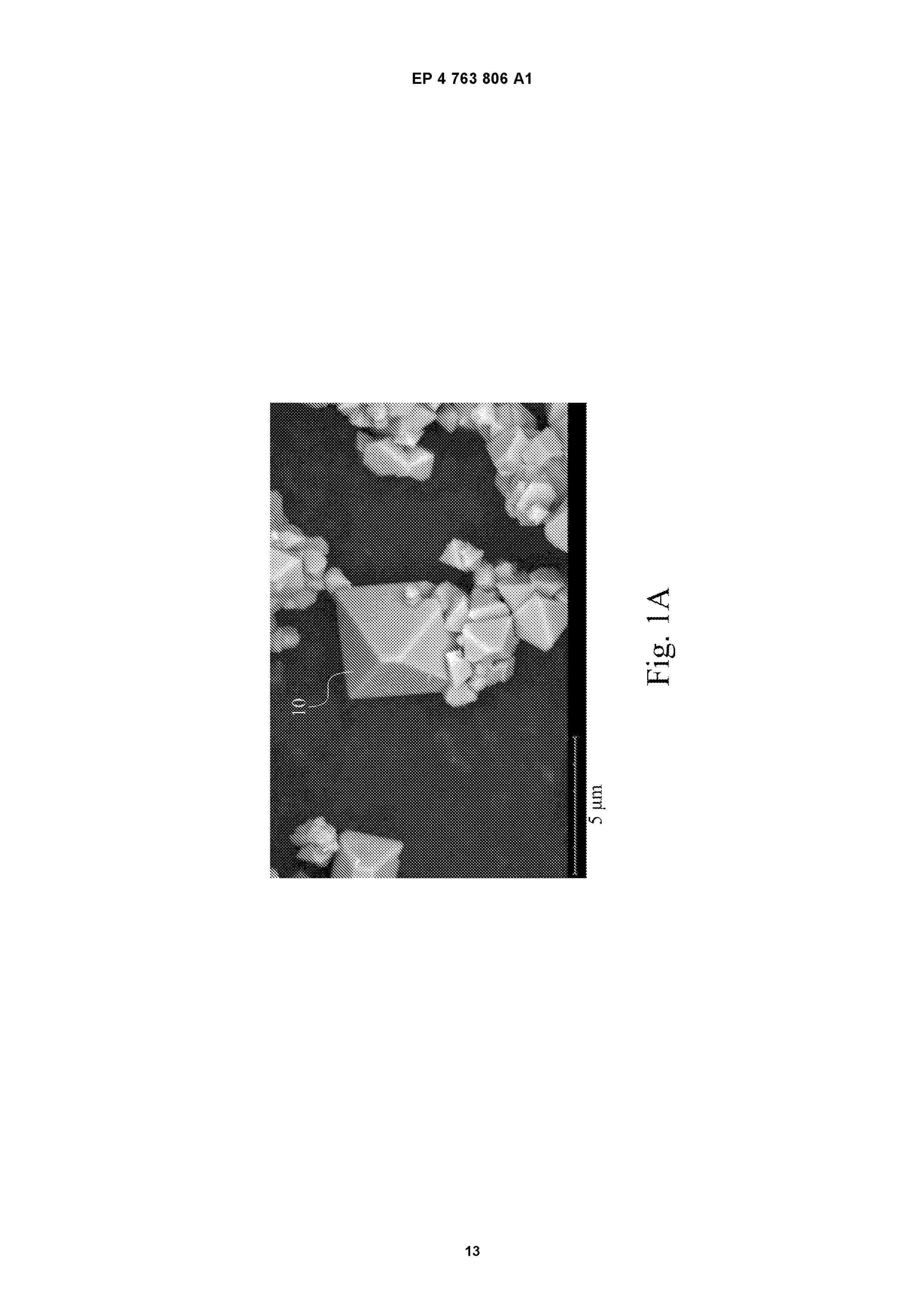 EP_4763806_A1