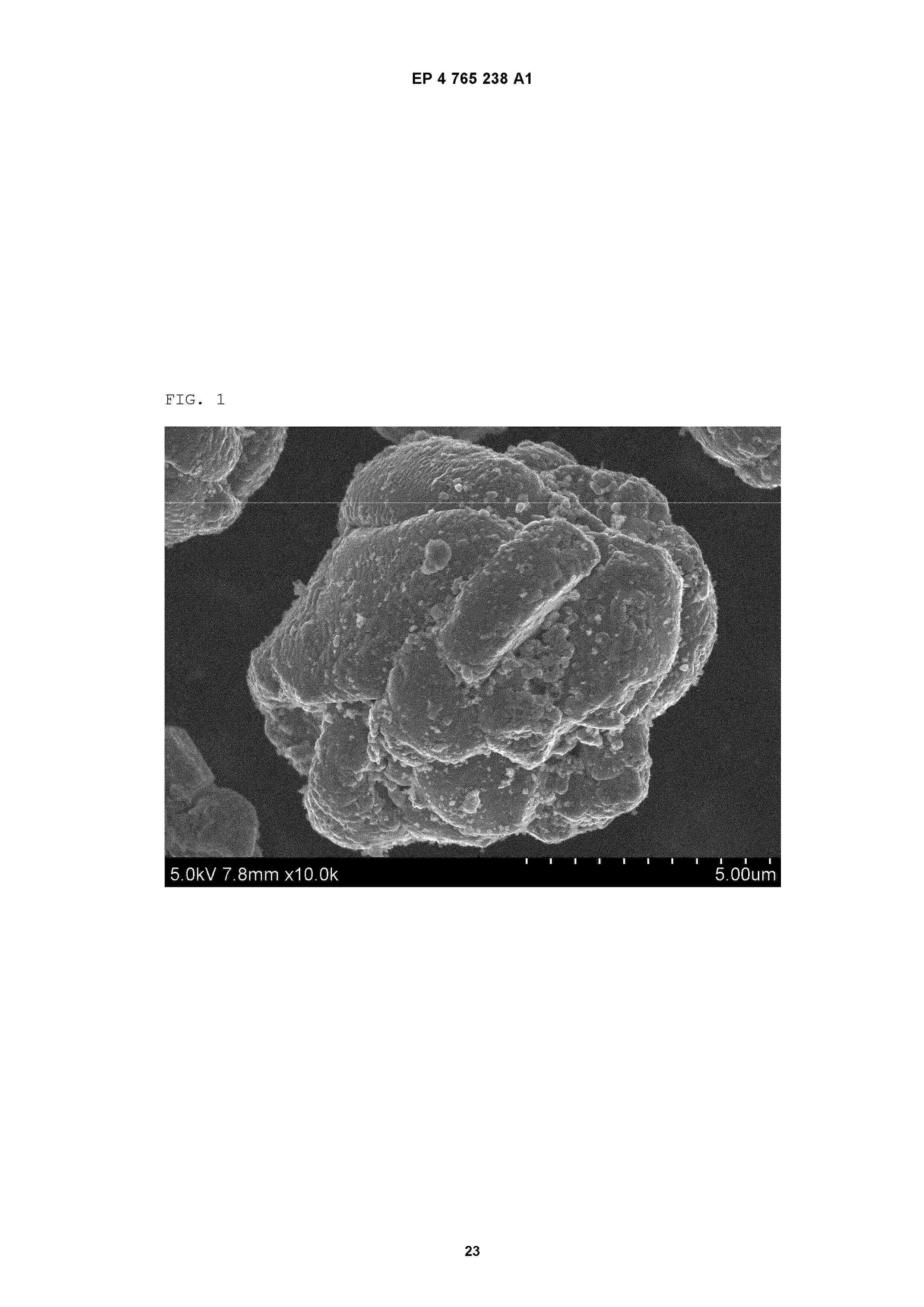 EP_4765238_A1