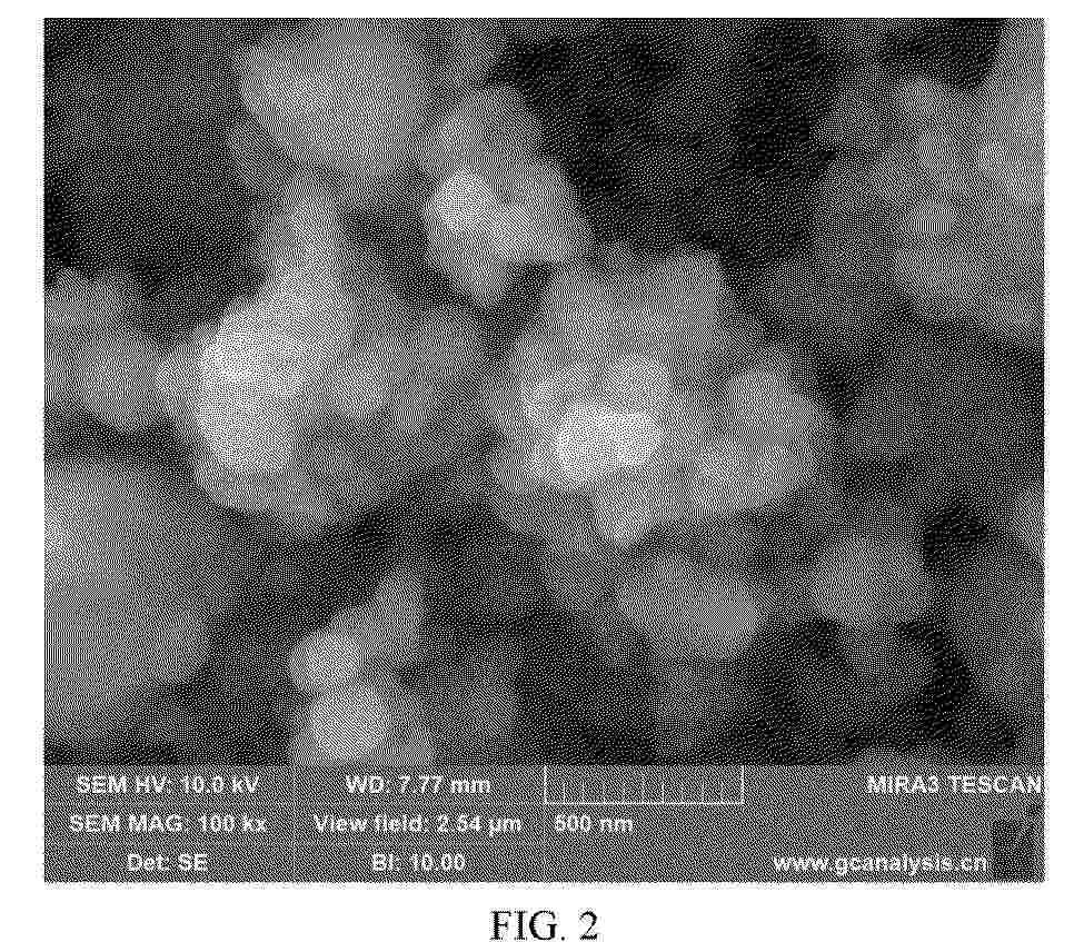 EP_4769567_PA