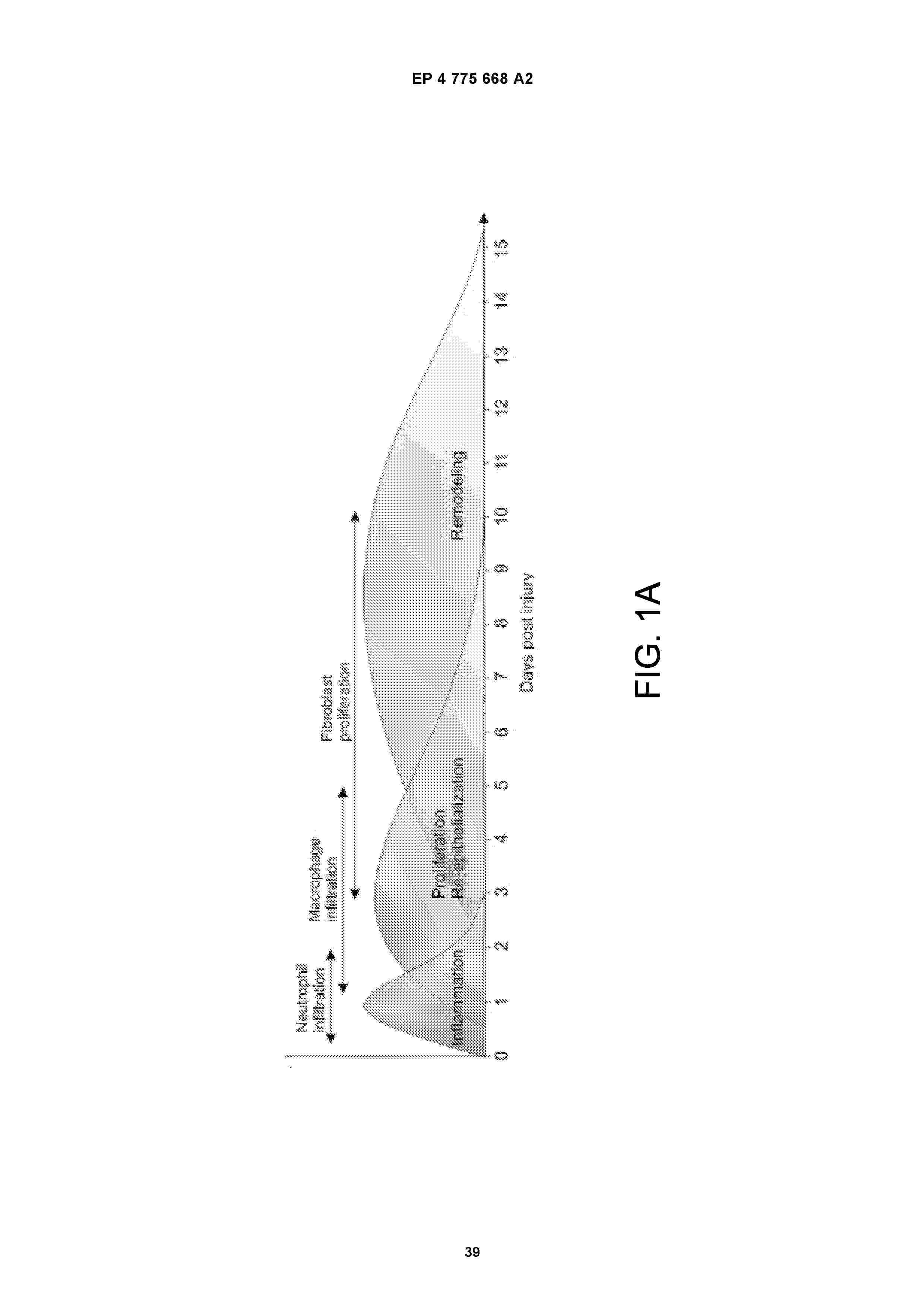 EP_4775668_A2