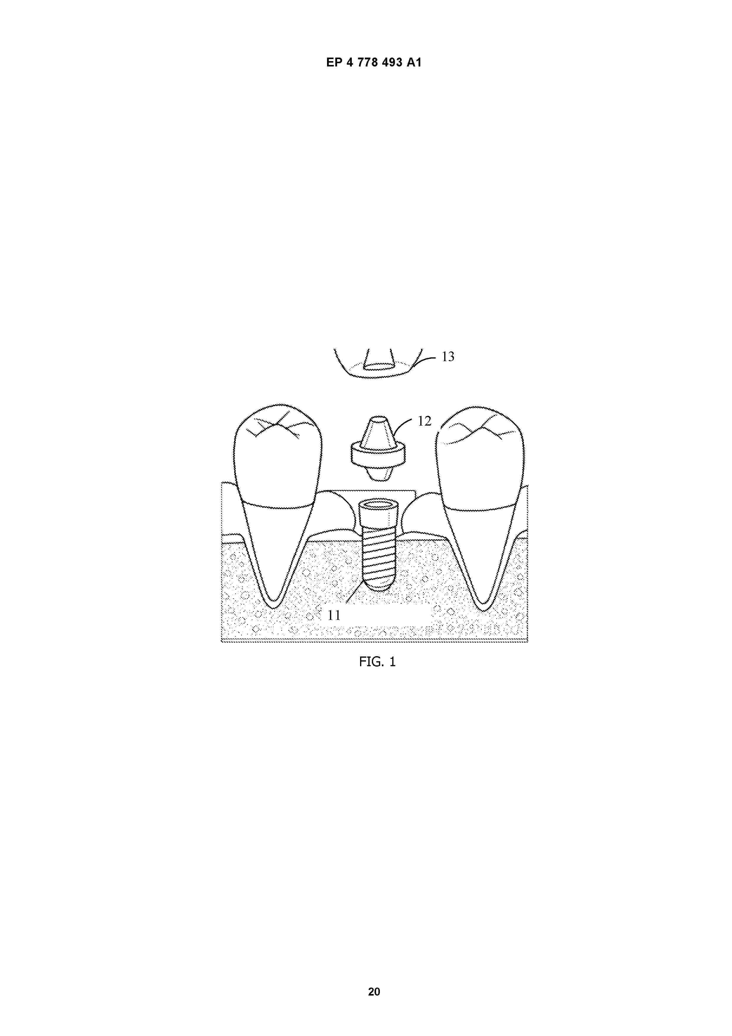 EP_4778493_A1