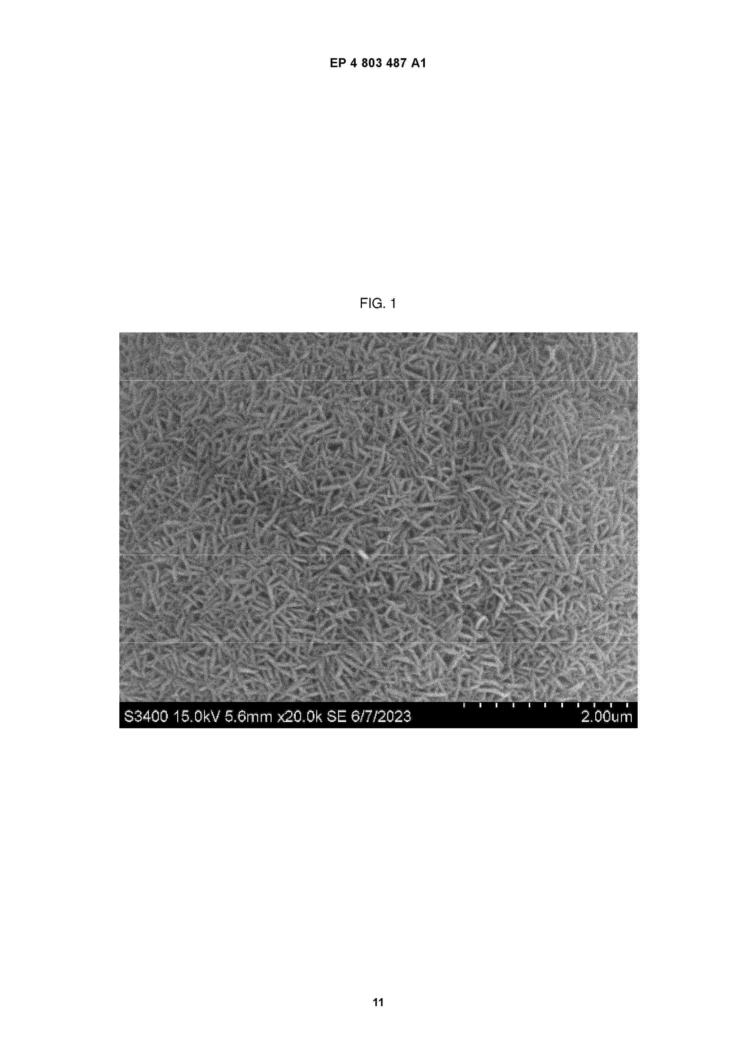 EP_4803487_A1