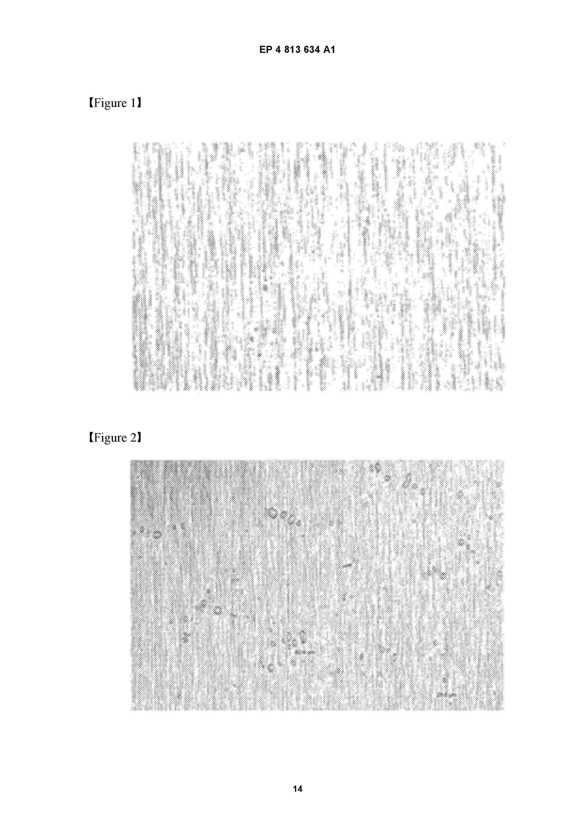EP_4813634_A1