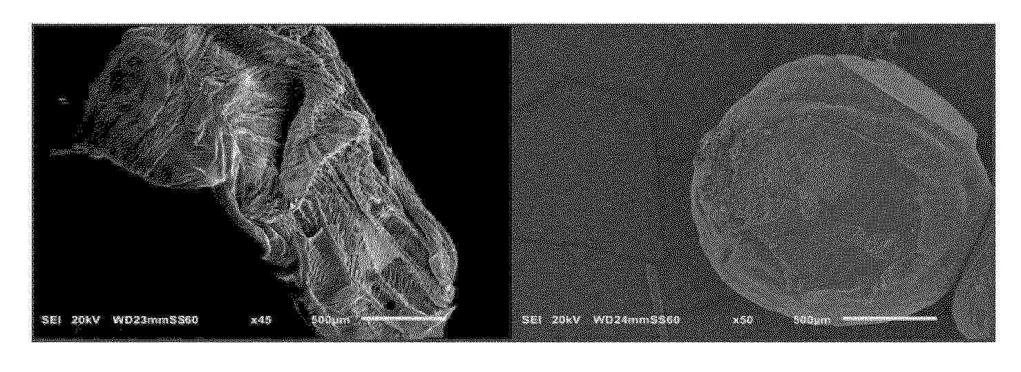EP_4817599_PA